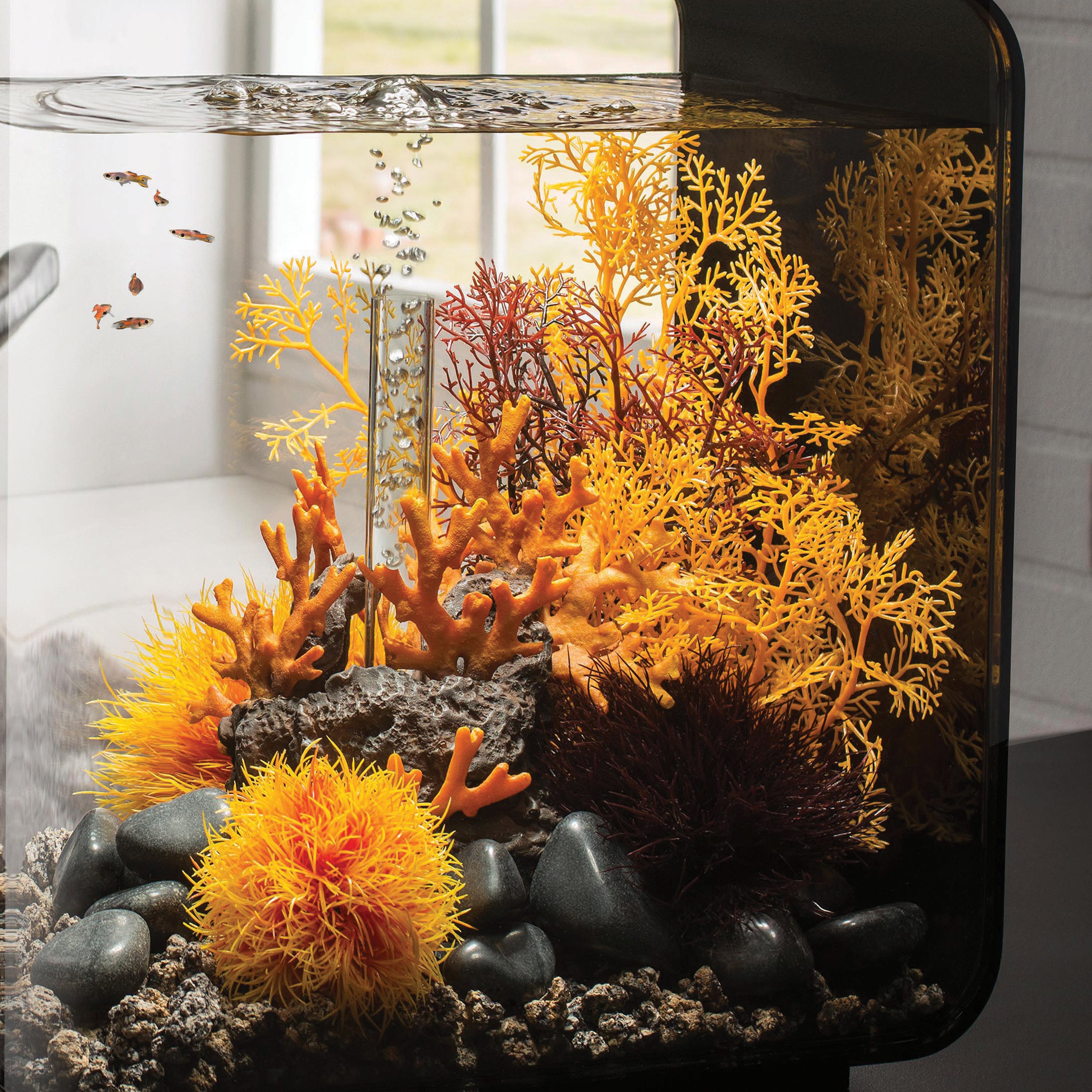 Aquatic Color Ball - Orange In use