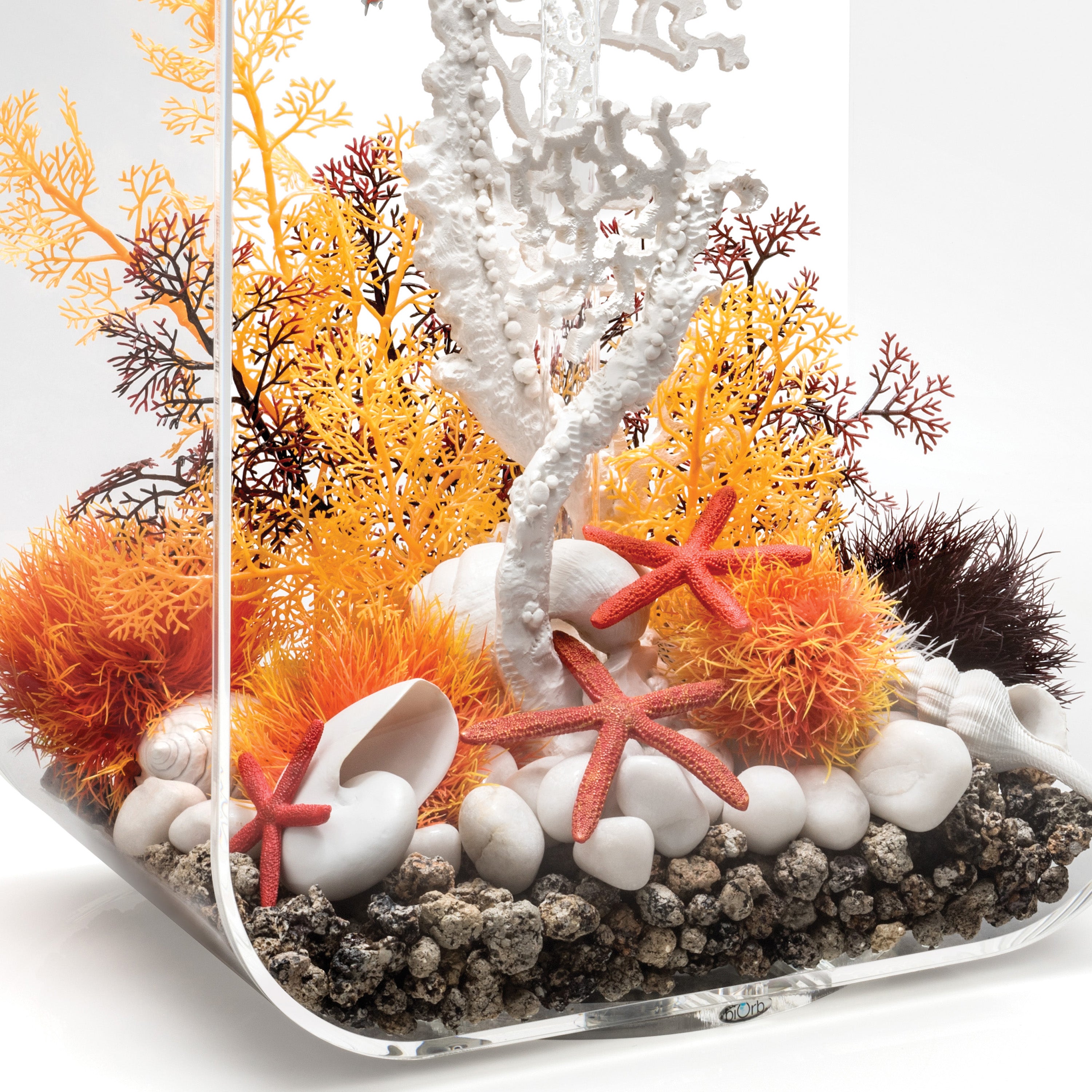 Aquatic Color Ball - Orange In use
