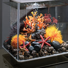 Aquatic Color Ball - Orange In use