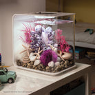 Aquatic Color Ball - Purple In use