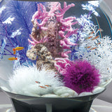 Aquatic Color Ball - Purple In use