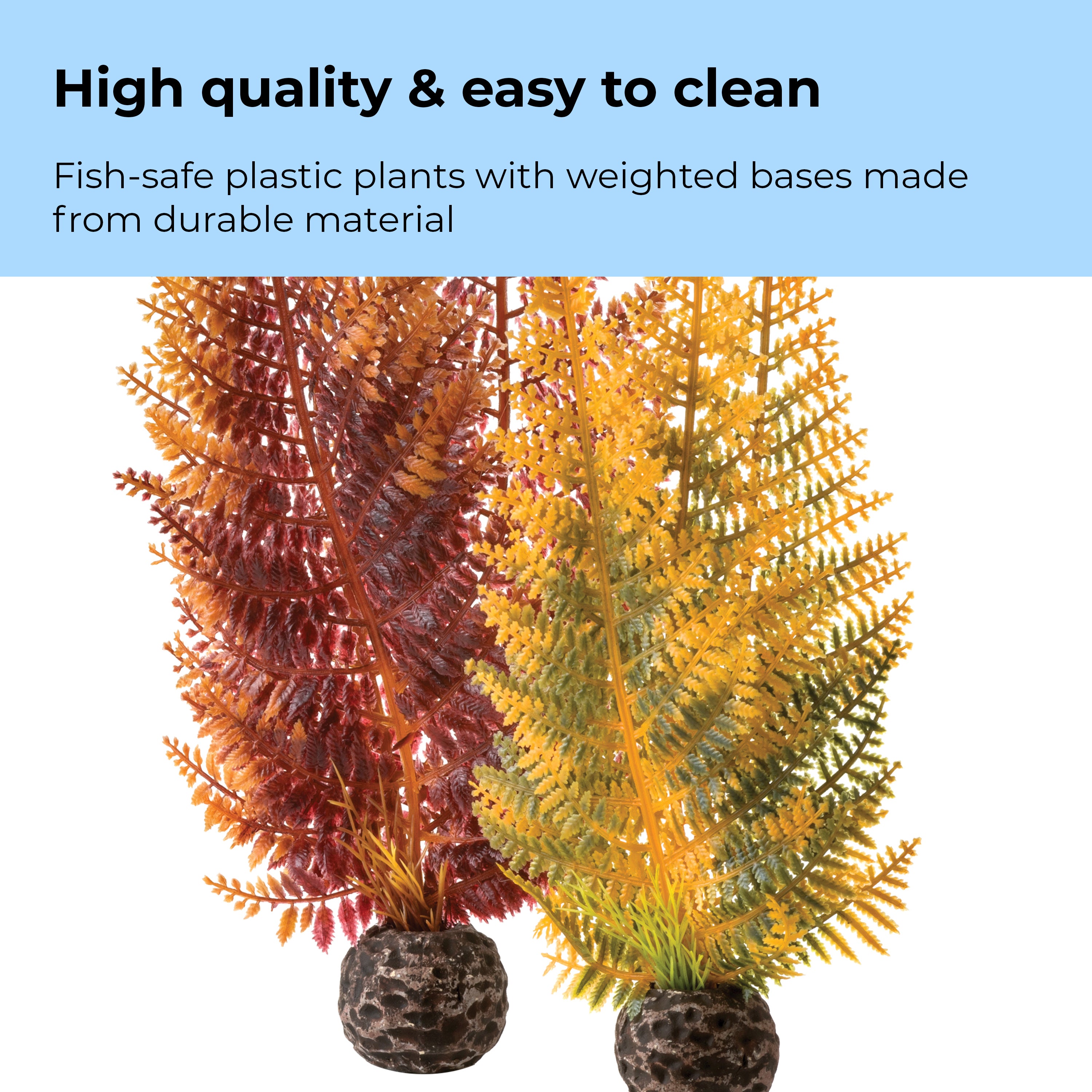 Fern Plant Set - High quality & easy to clean