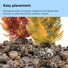 Fern Plant Set - Easy placement