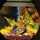 Fern Plant Set - In use