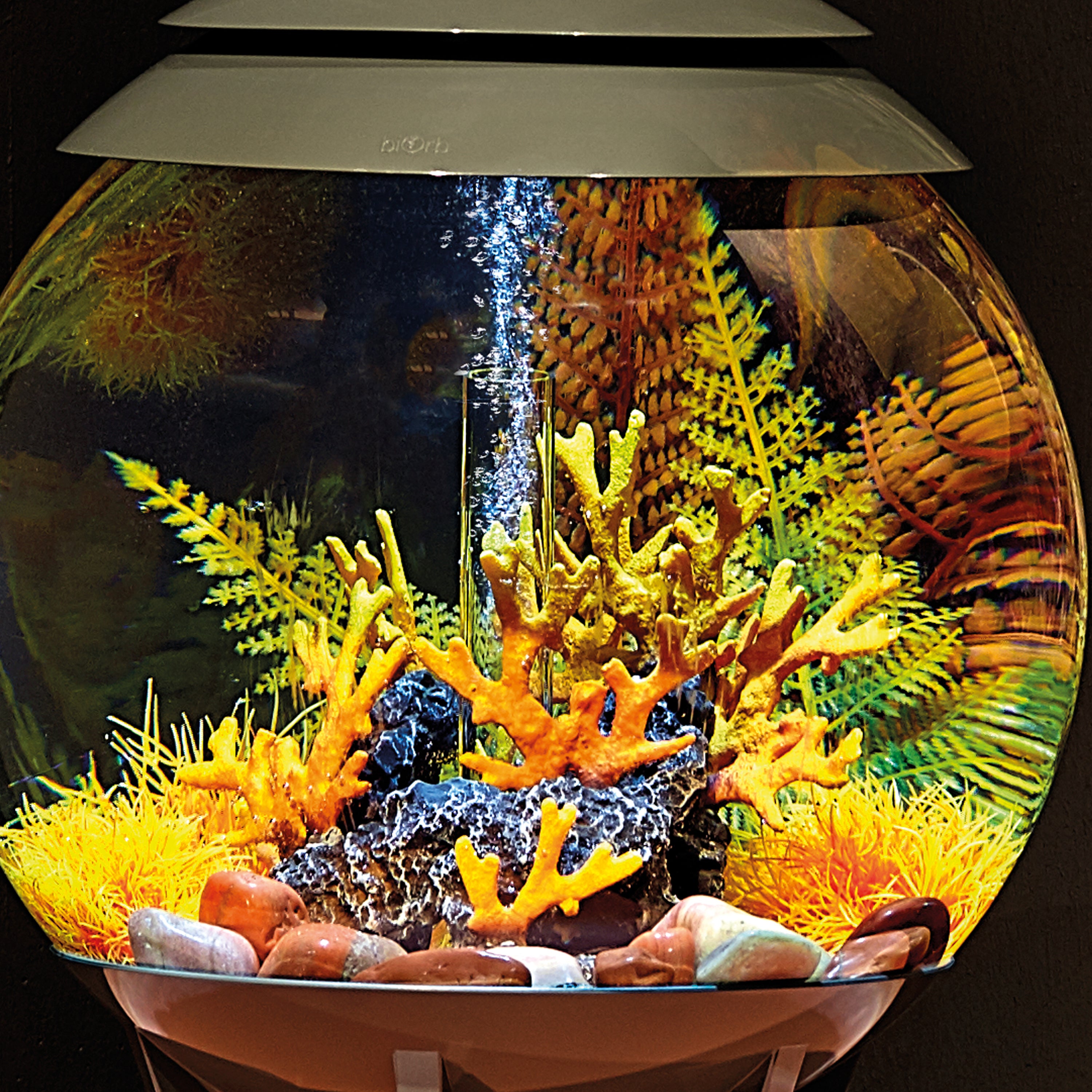 Fern Plant Set - In use