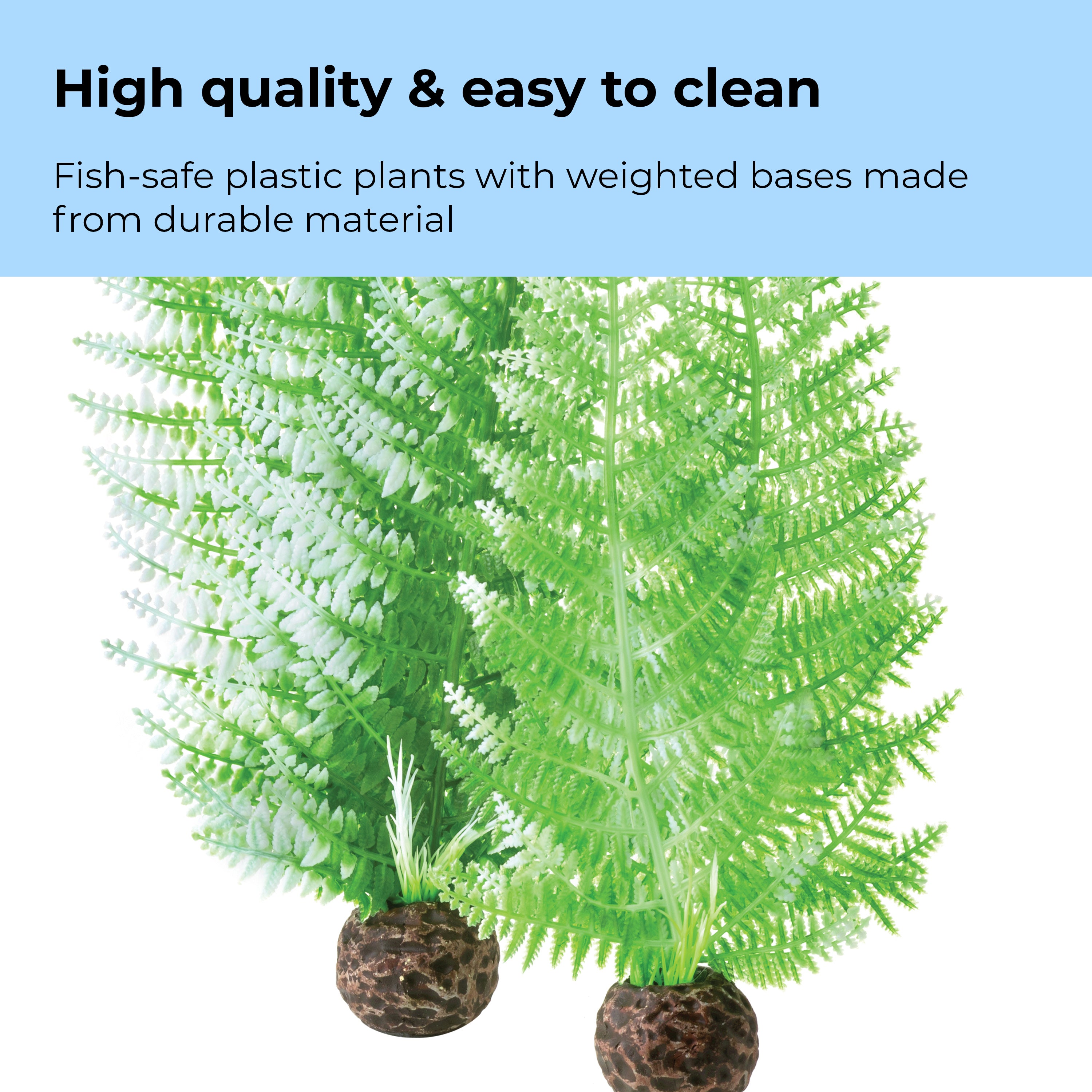 Fern Plant Set - High quality & easy to clean