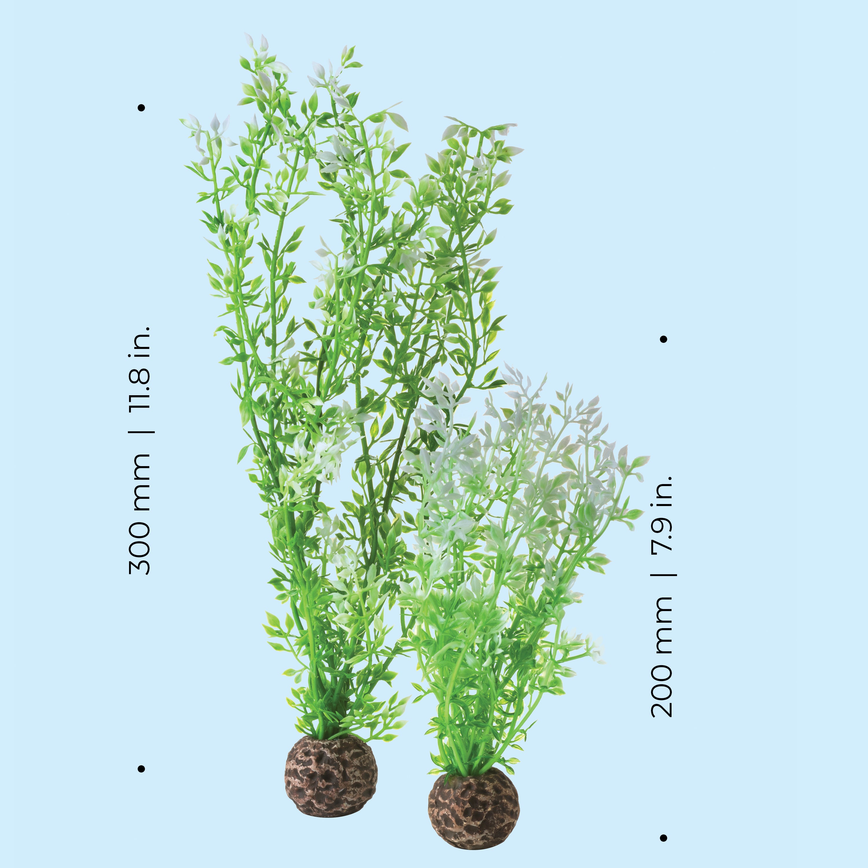 Winter Flower Plant Set – biOrb