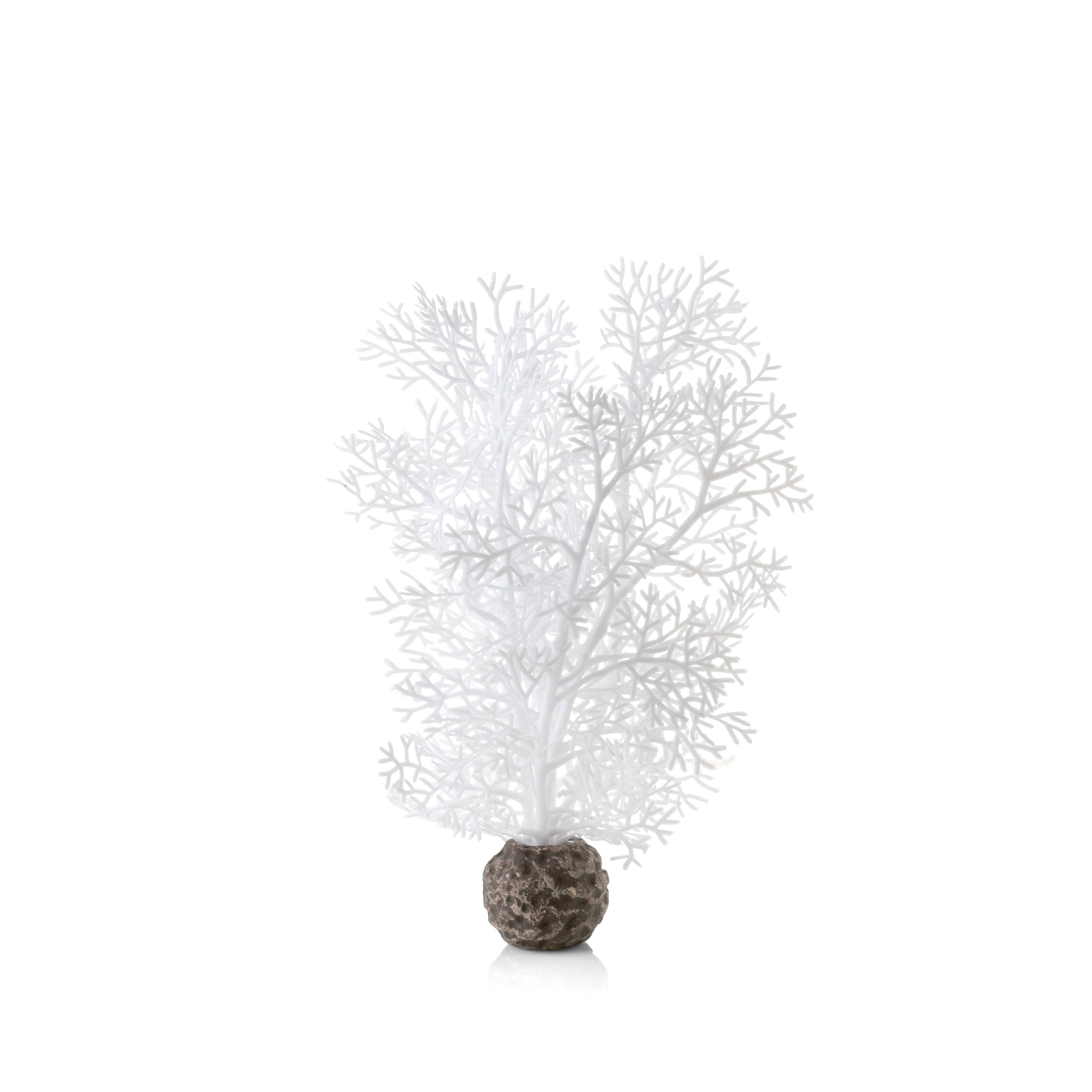 Small Sea Fan - White