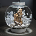 Small Sea Fan - White In use