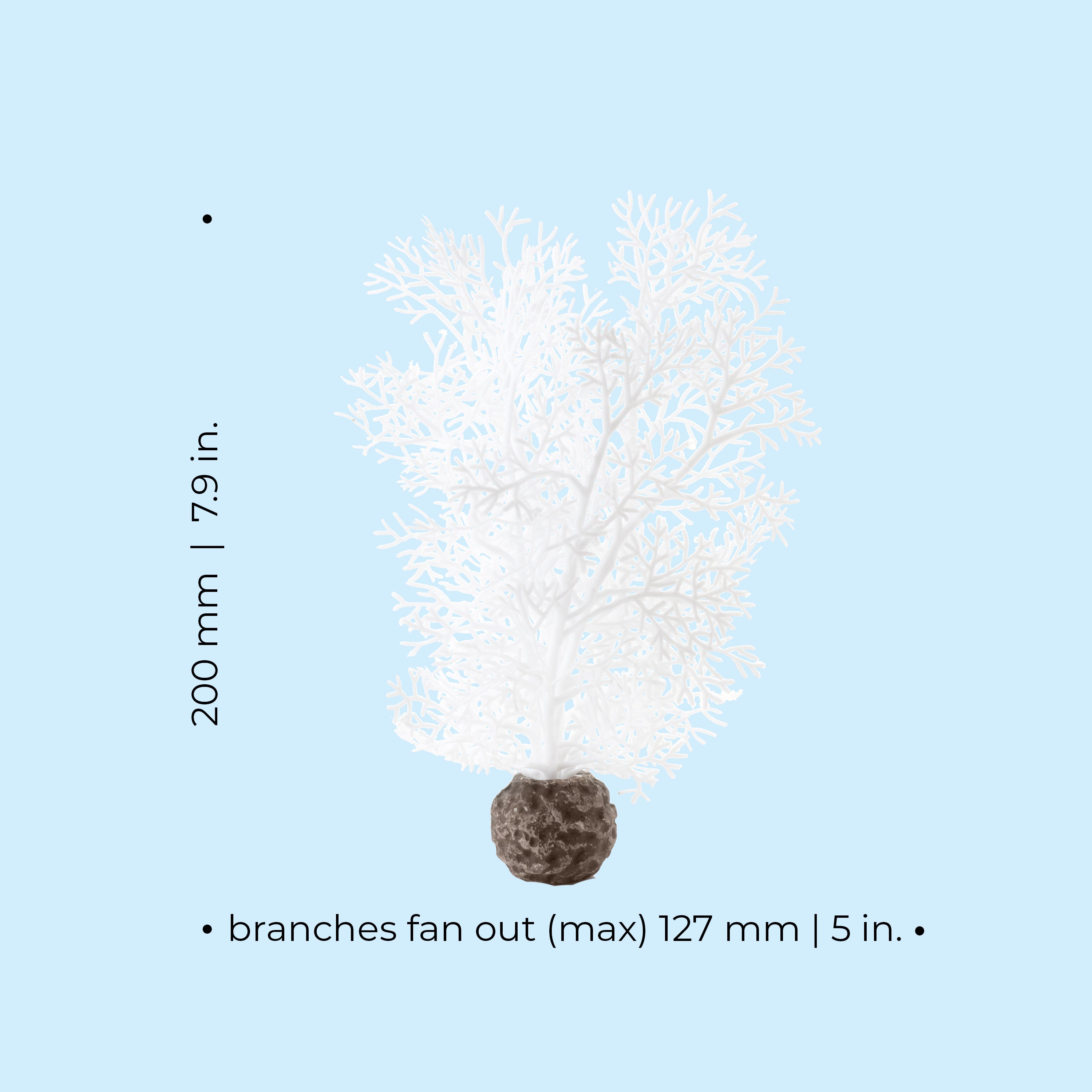 Small Sea Fan - Dimensions