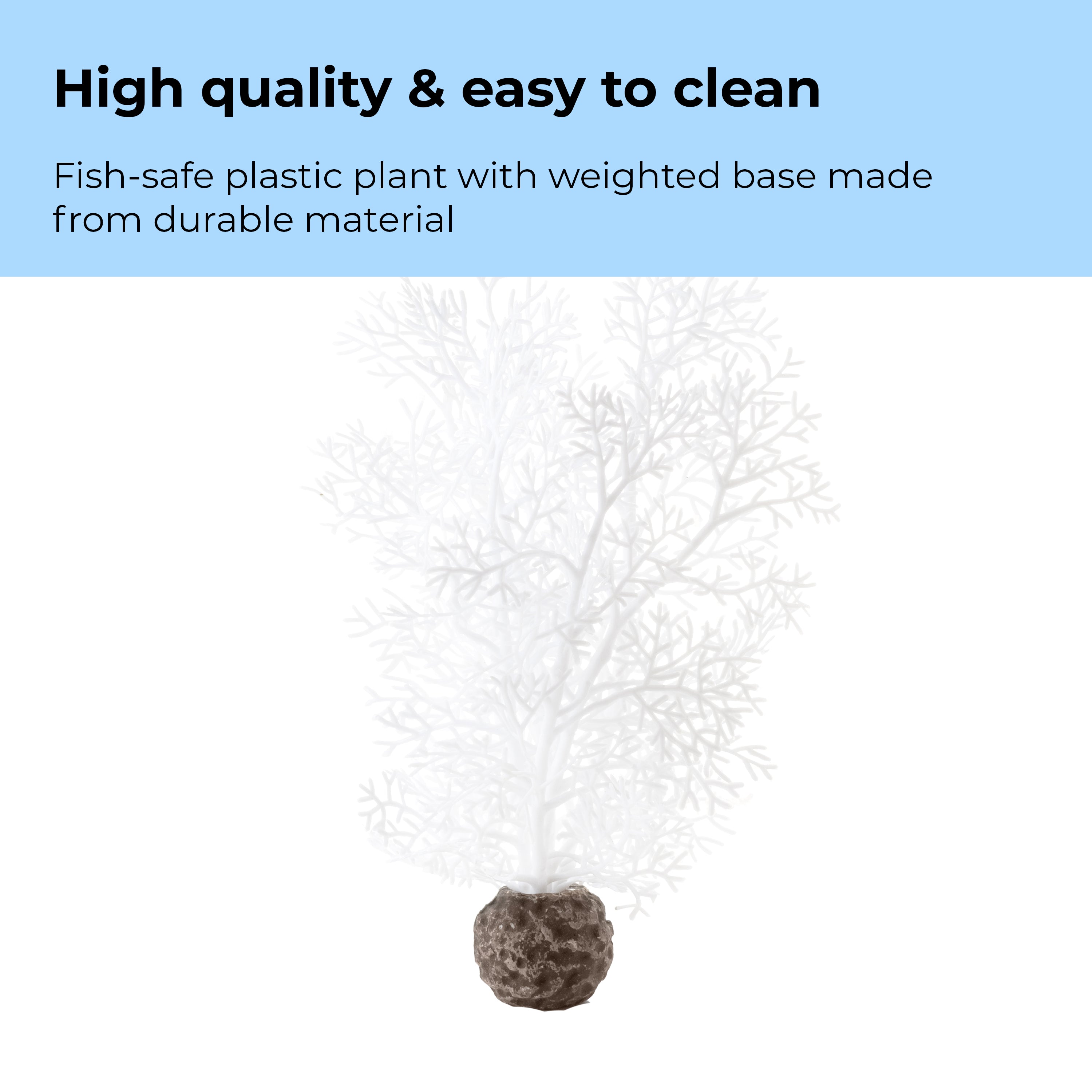 Small Sea Fan - High quality & easy to clean