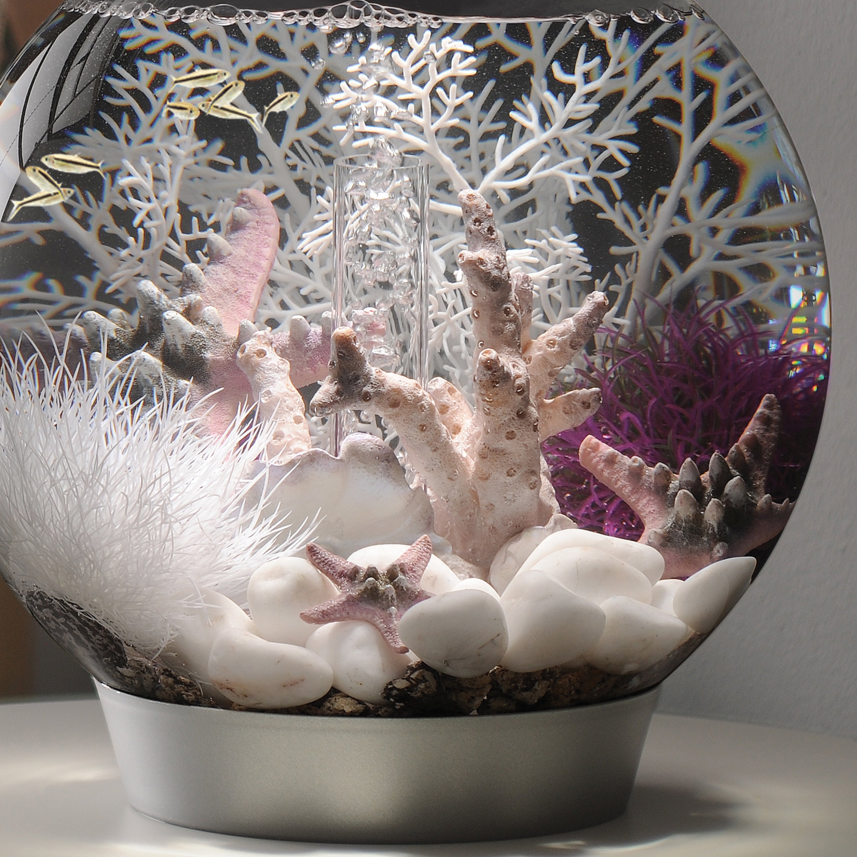 Small Sea Fan - White In use