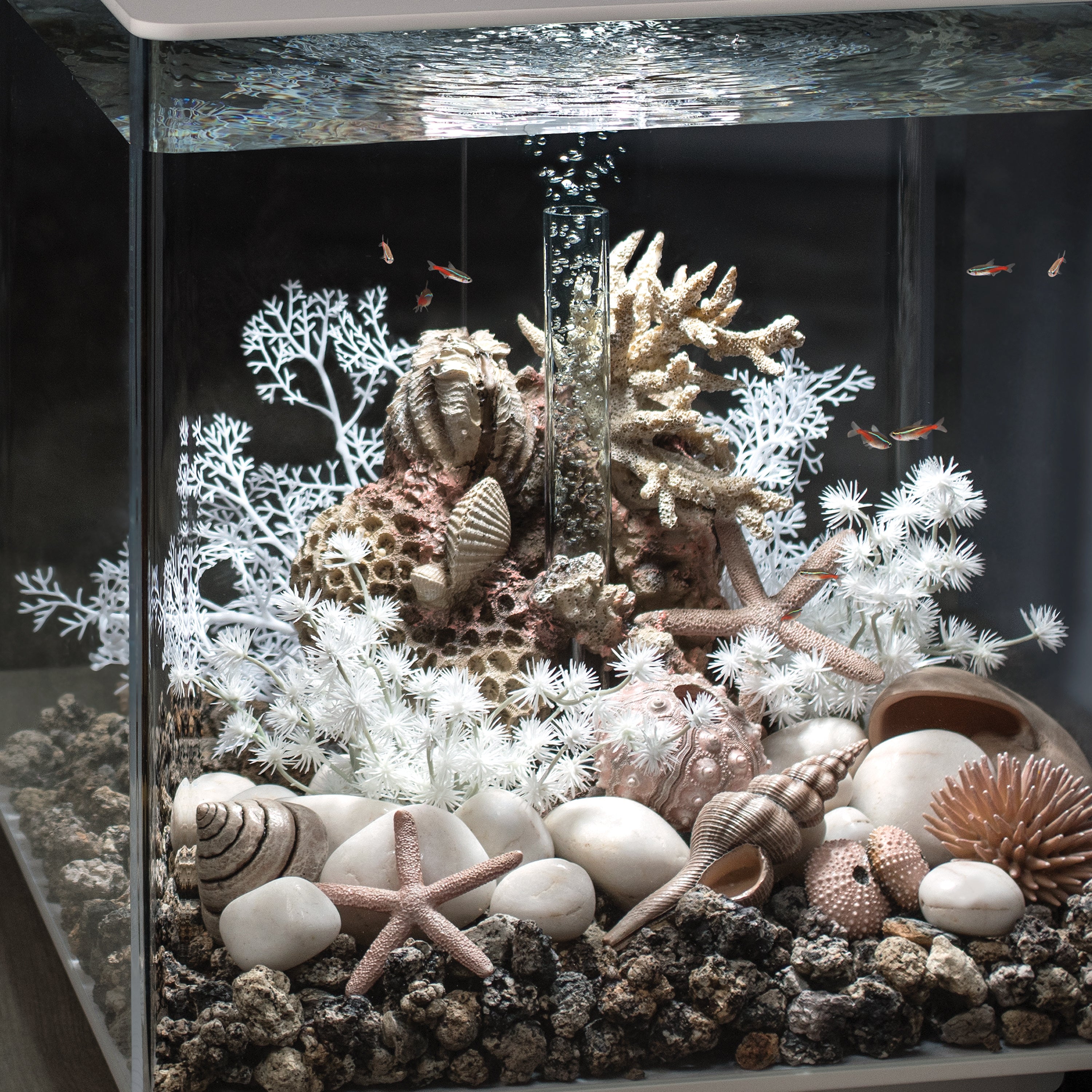 Small Sea Fan - White In use