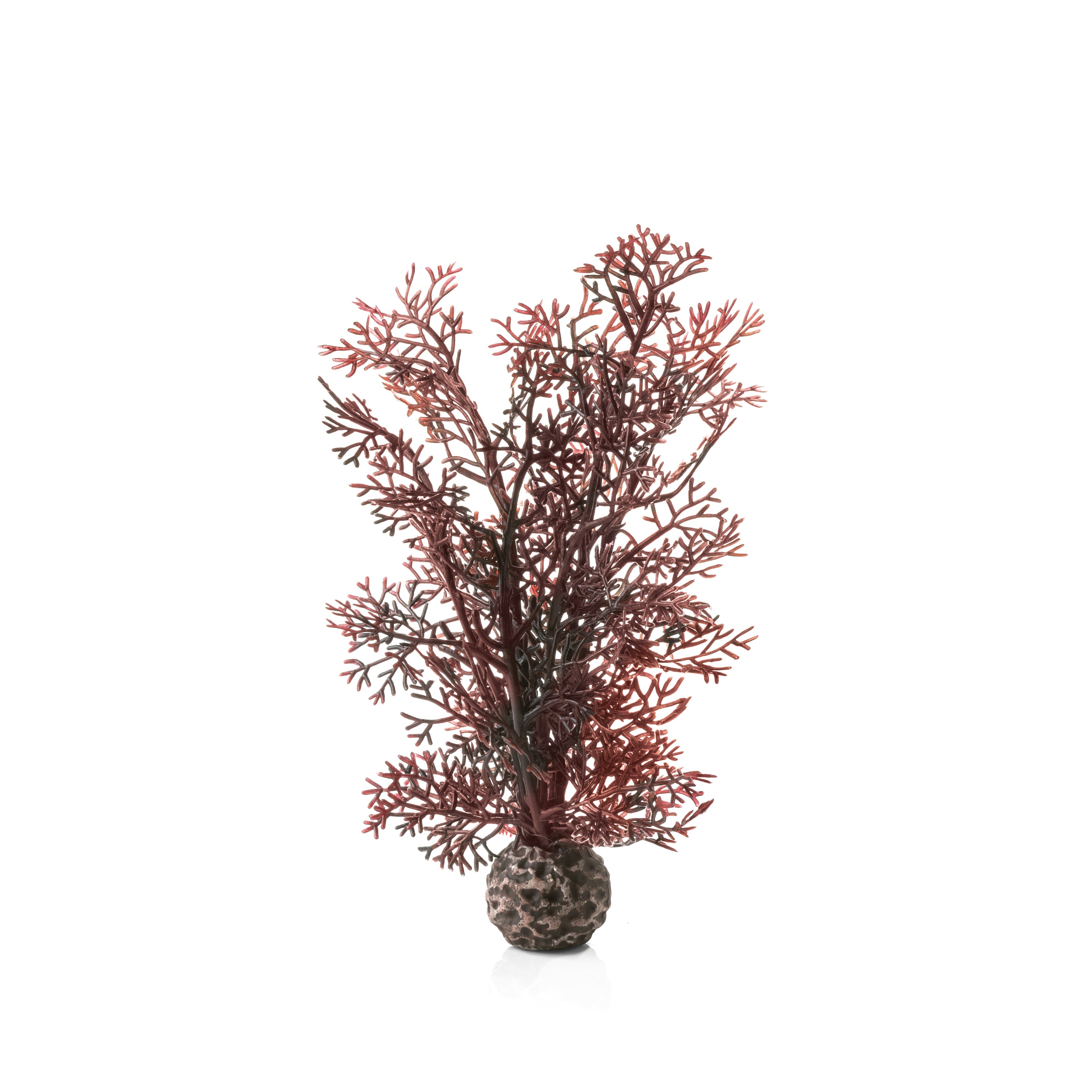 Small Sea Fan - Crimson