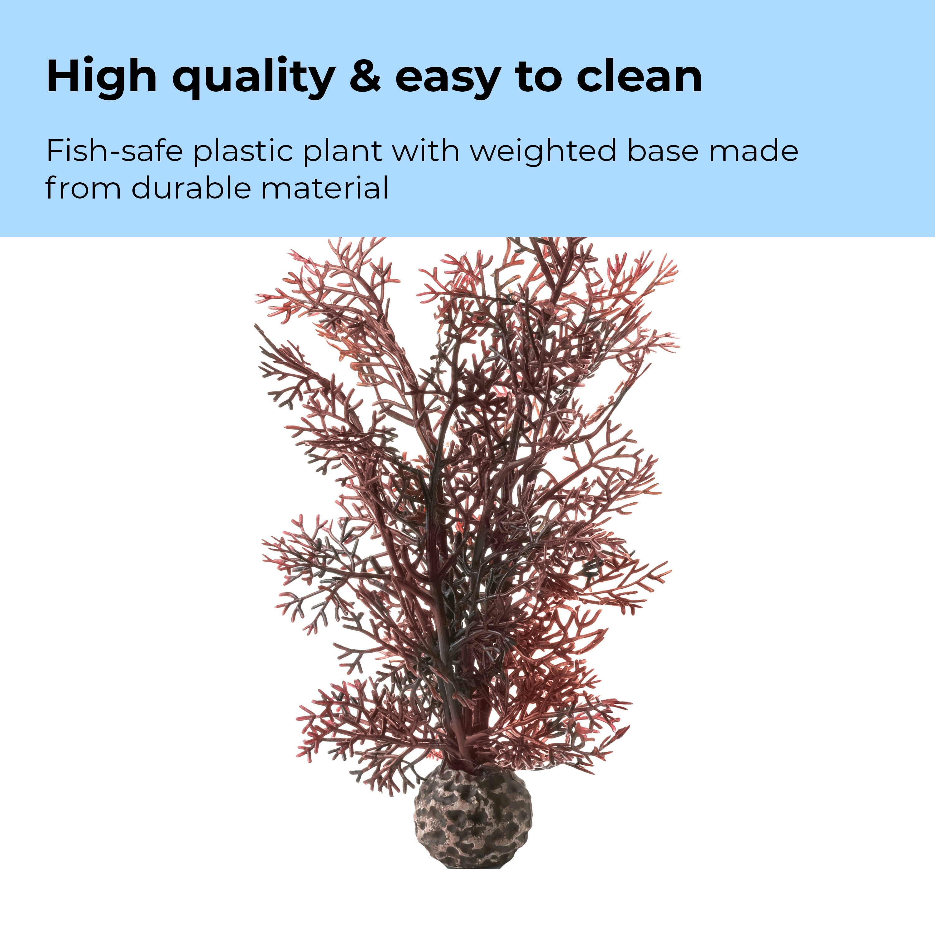 Small Sea Fan - High quality & easy to clean