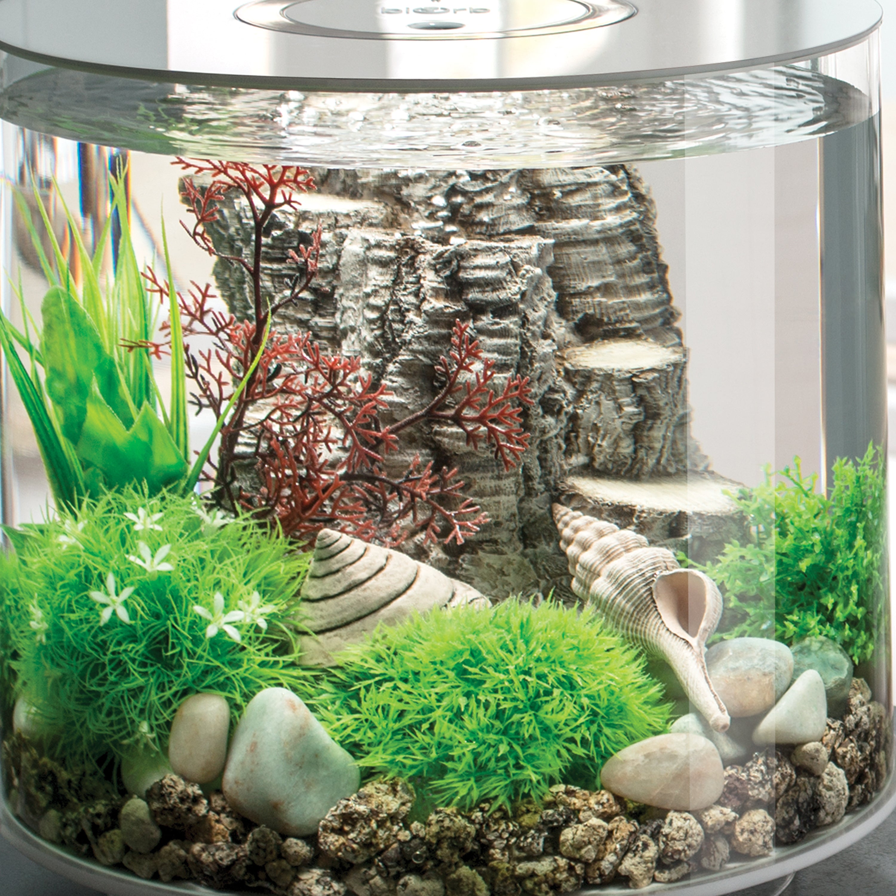 Small Sea Fan - Crimson In use