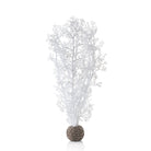 Medium Sea Fan -  White