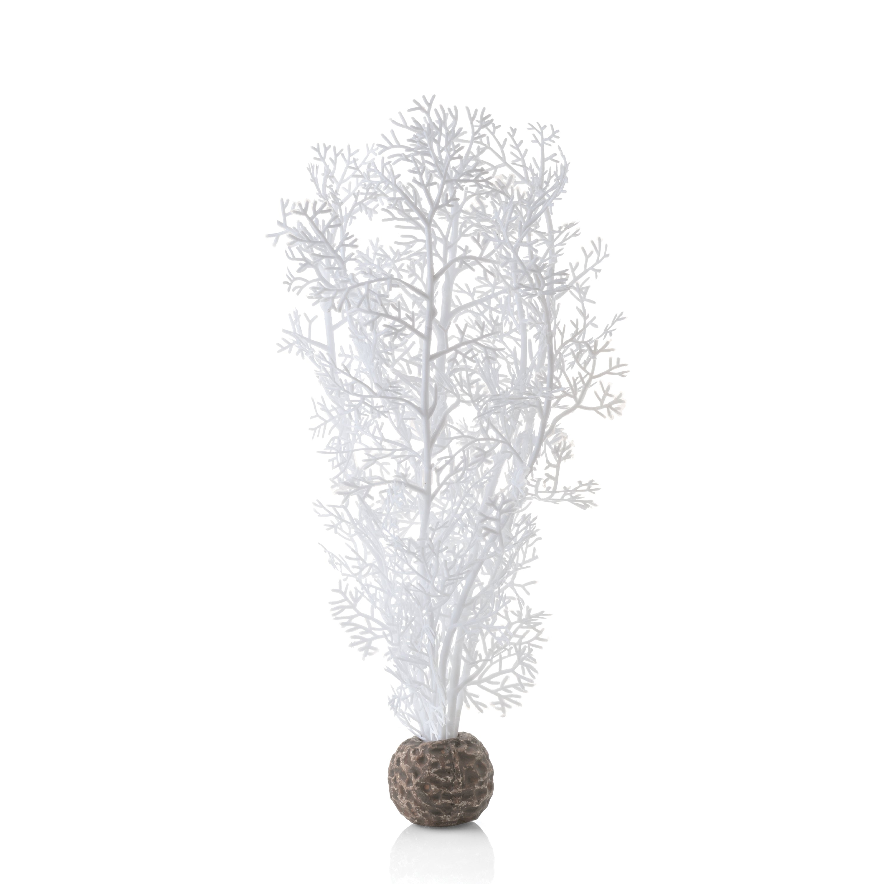 Medium Sea Fan -  White