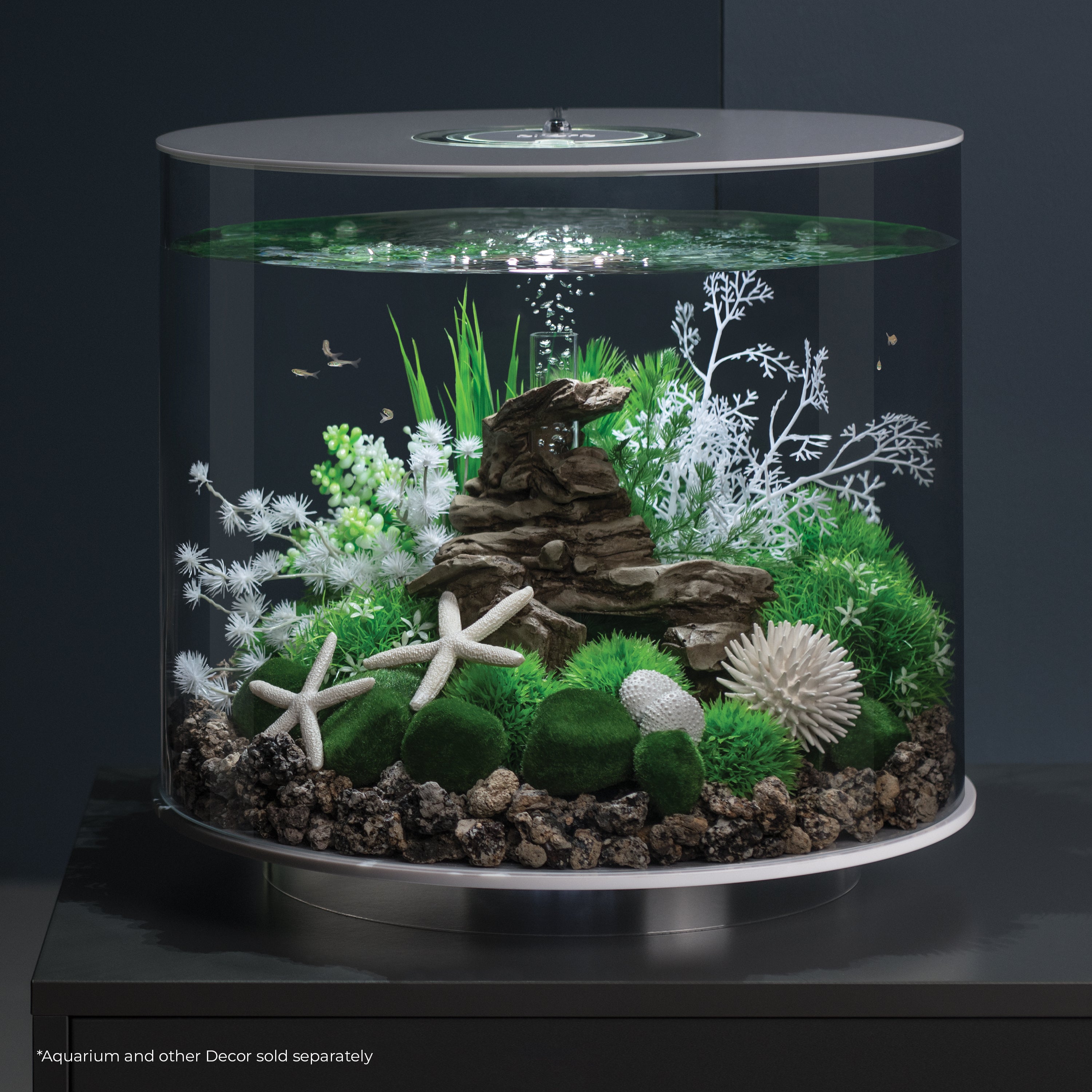 Biotope Aquariums: Nature Under Glass – Fish Tank Fan