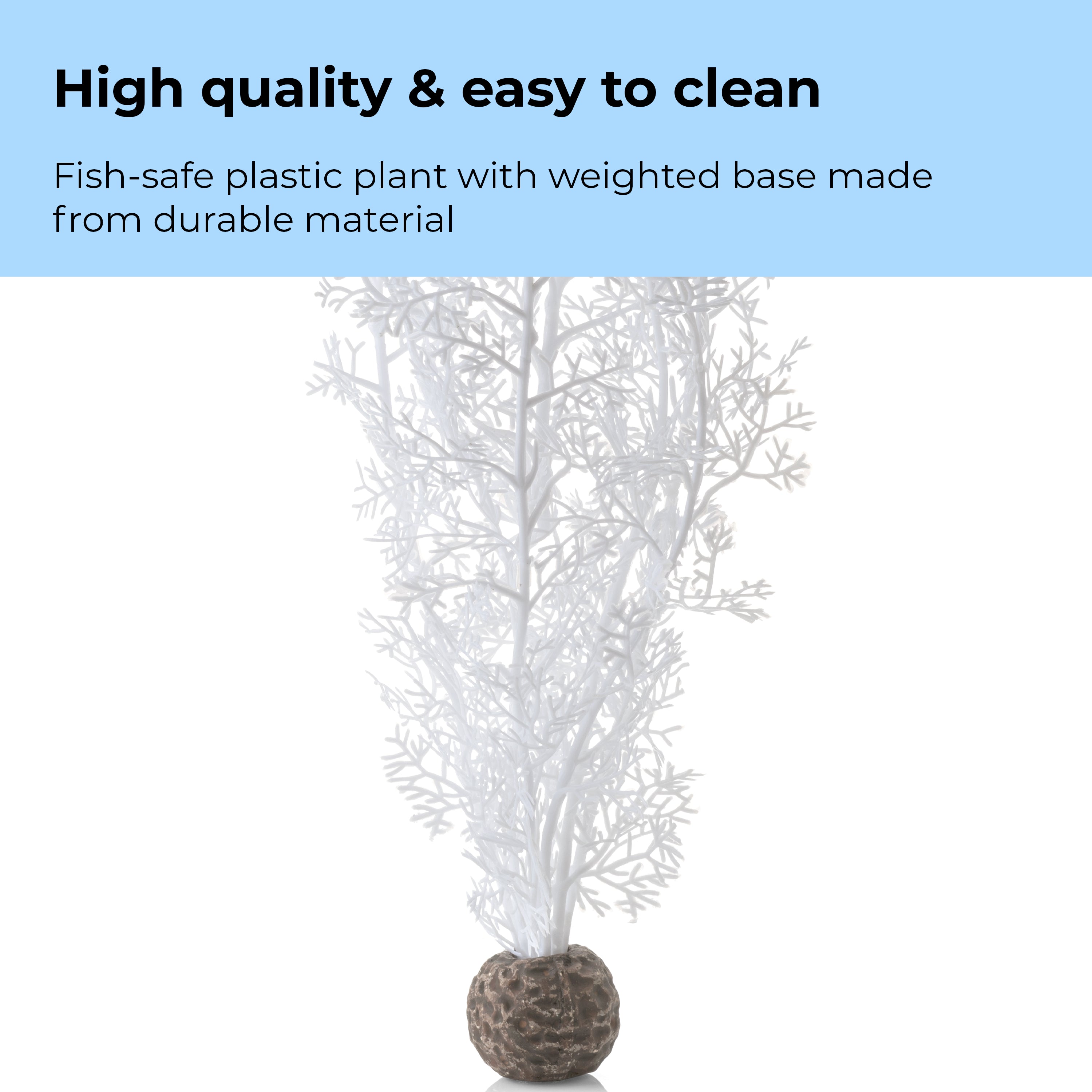 Medium Sea Fan - High quality & easy to clean