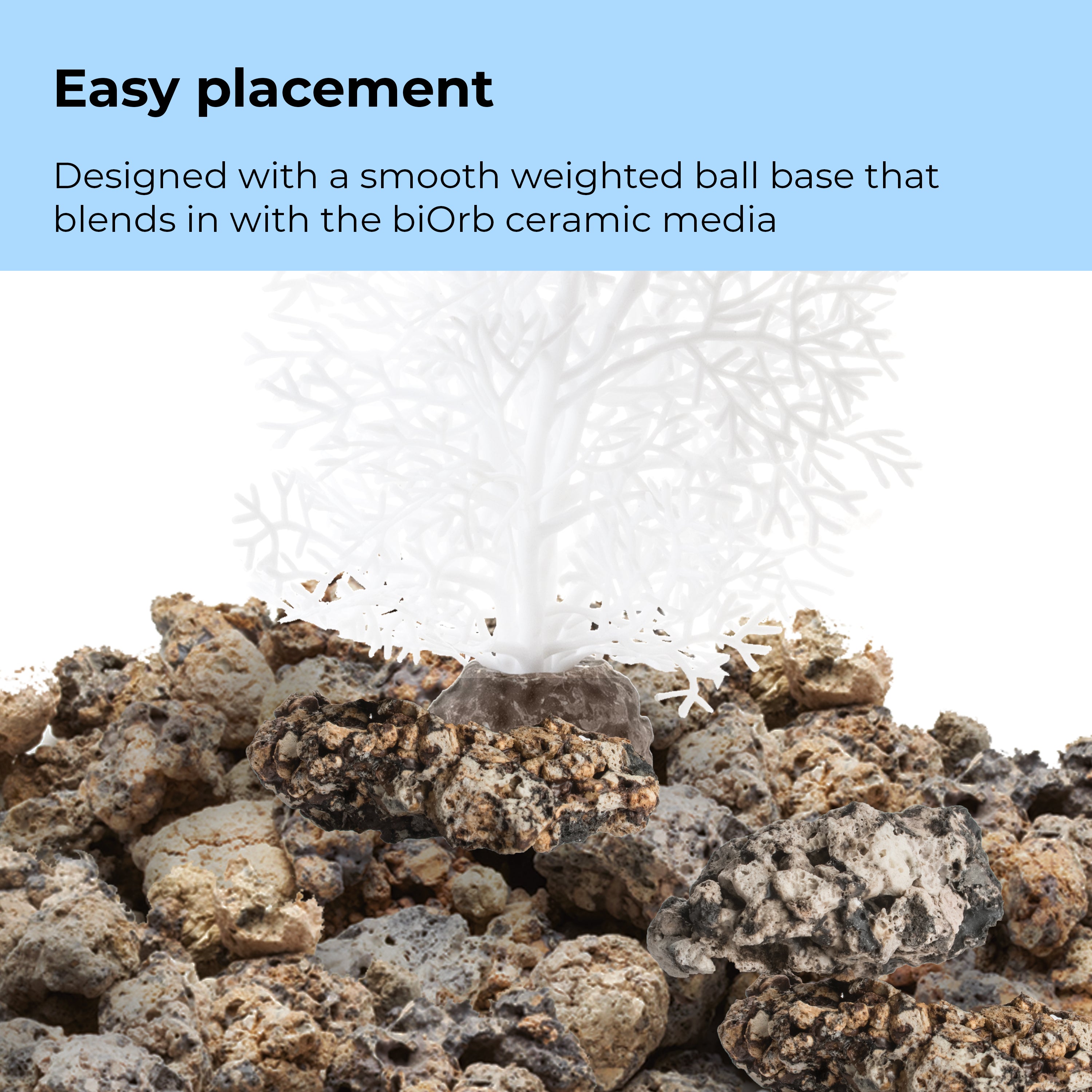Medium Sea Fan - Easy placement