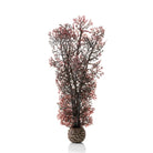 Medium Sea Fan - Crimson