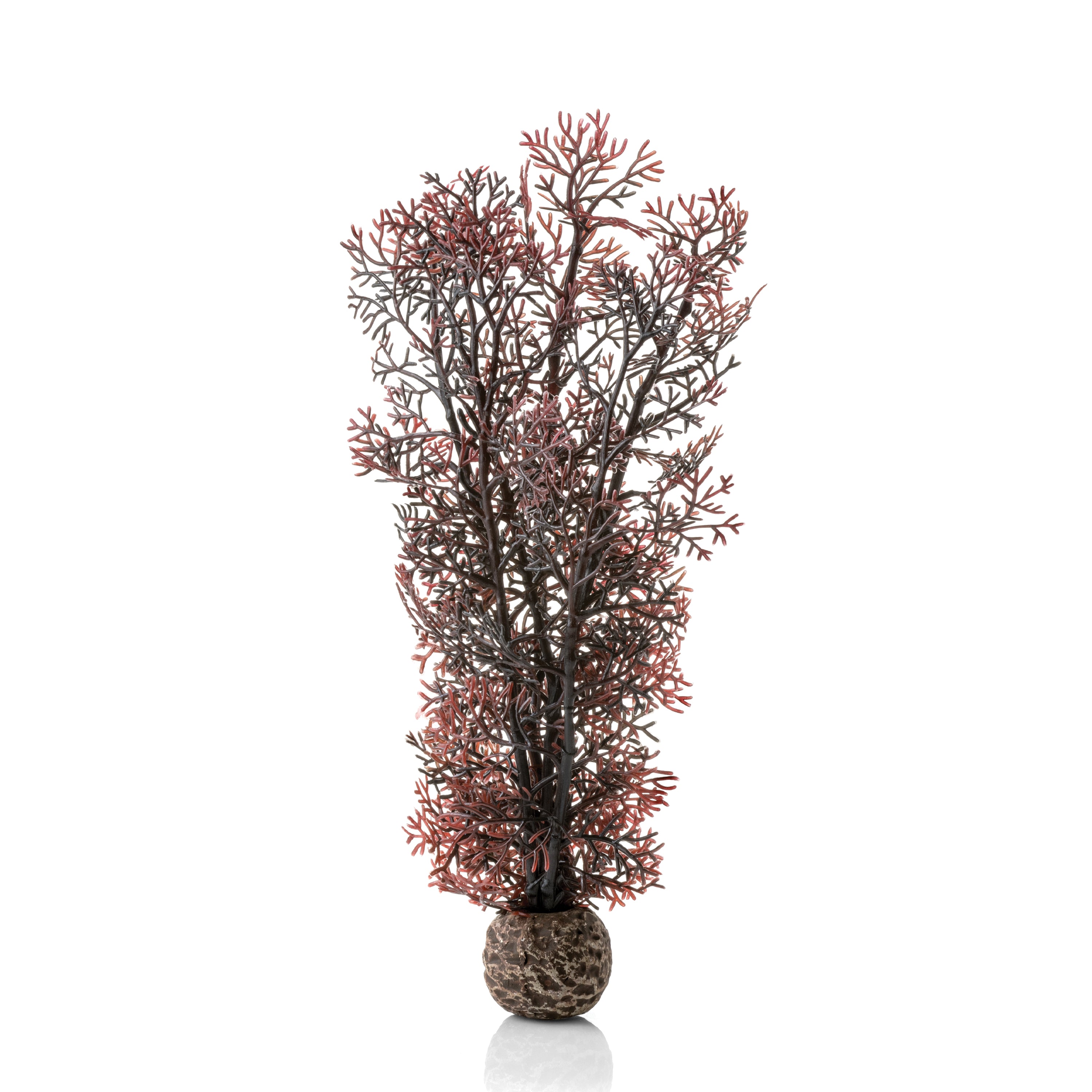 Medium Sea Fan - Crimson