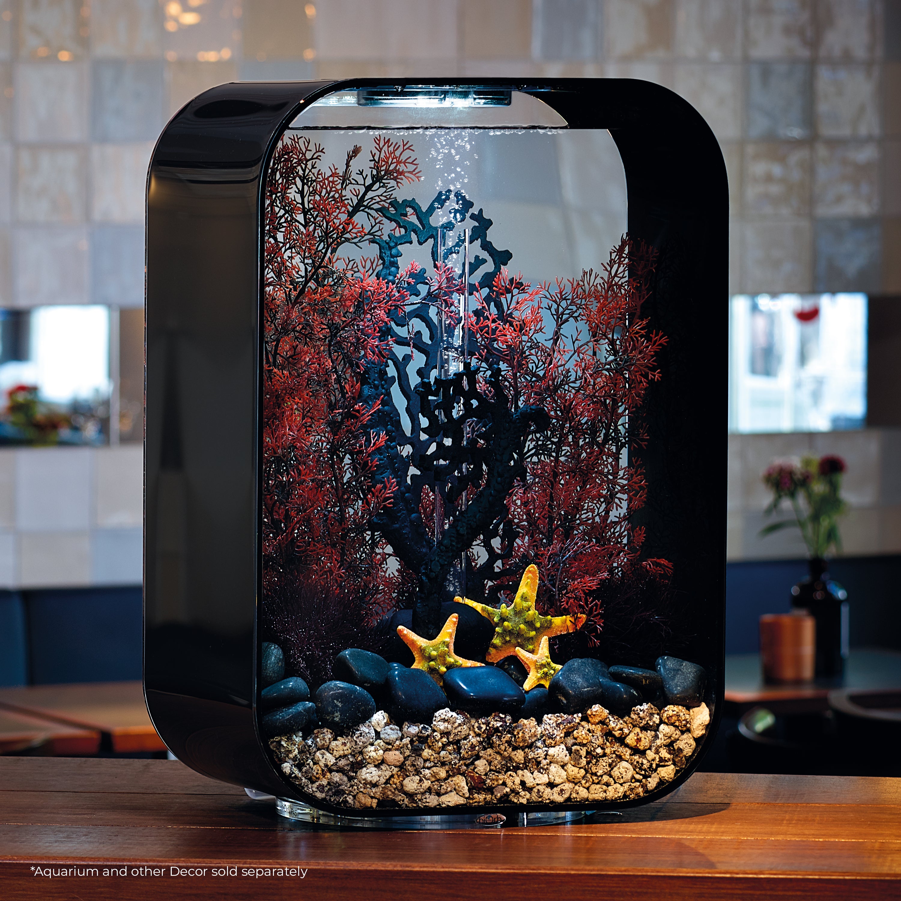 Medium Sea Fan - Crimson In use