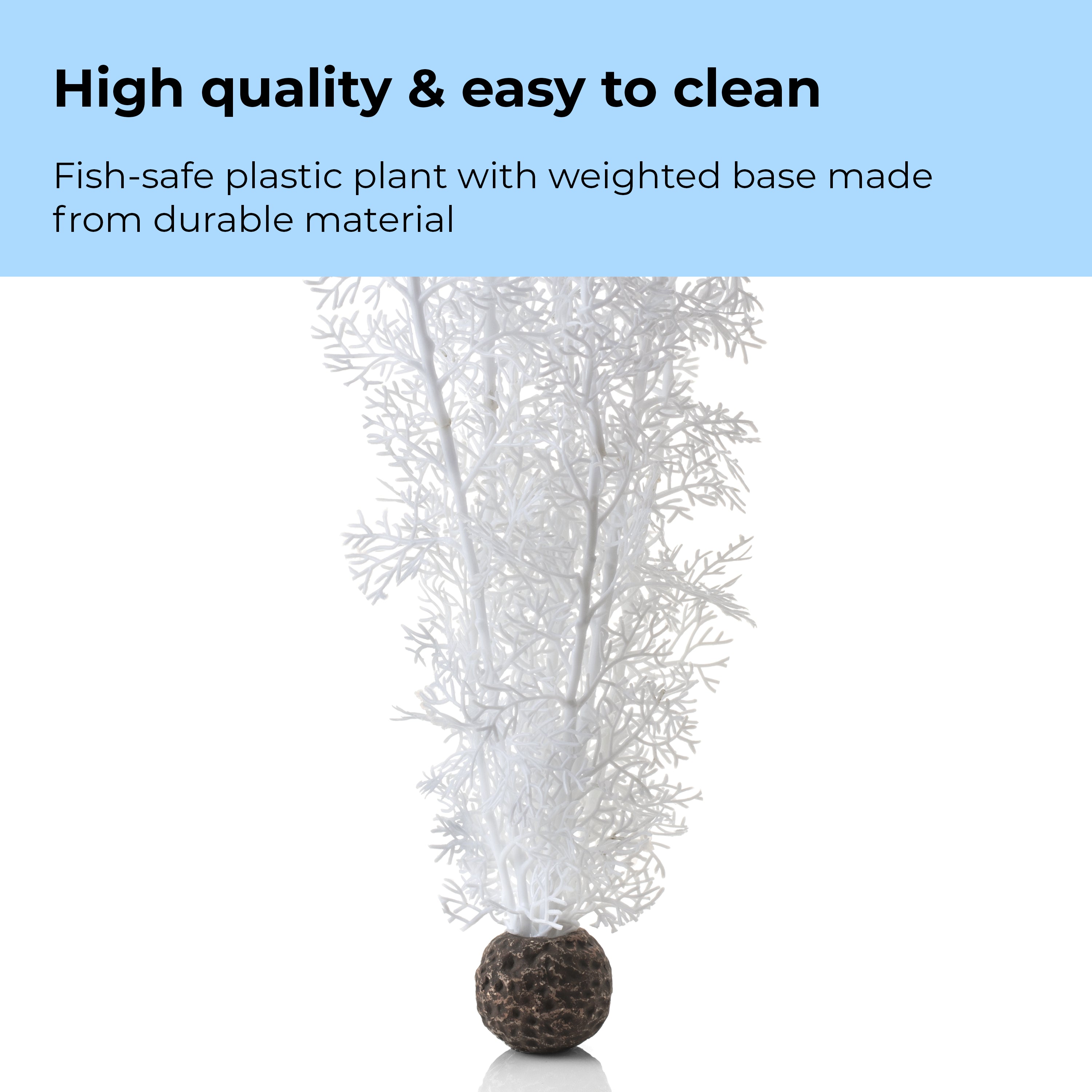 Large Sea Fan - High quality & easy to clean