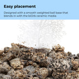 Large Sea Fan - Easy placement