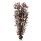 Large Sea Fan - Crimson