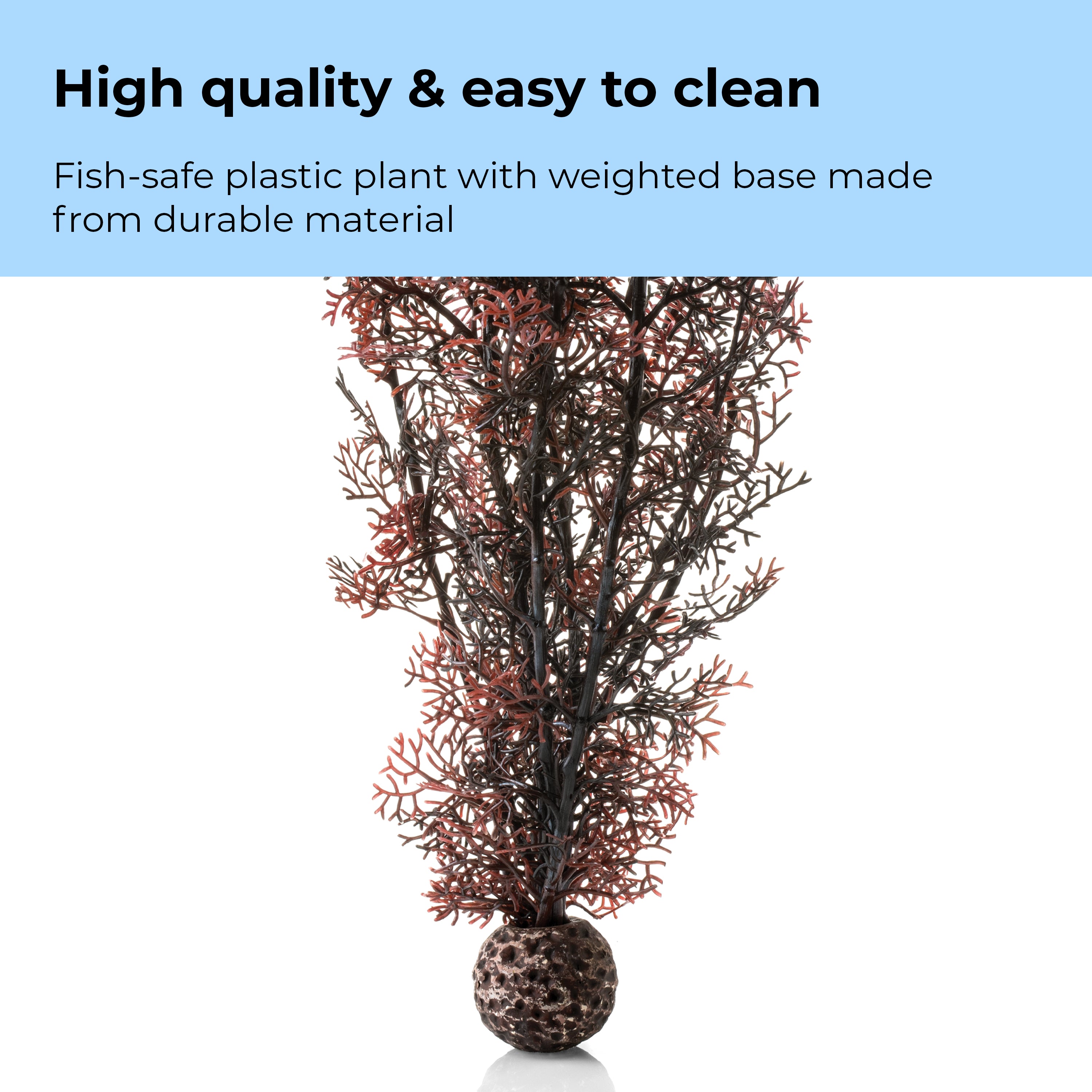 Large Sea Fan - High quality & easy to clean