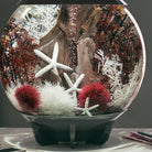 Large Sea Fan - Crimson In use