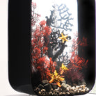 Large Sea Fan - Crimson In use