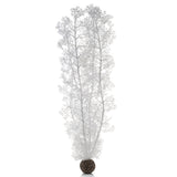 Extra Large Sea Fan - White