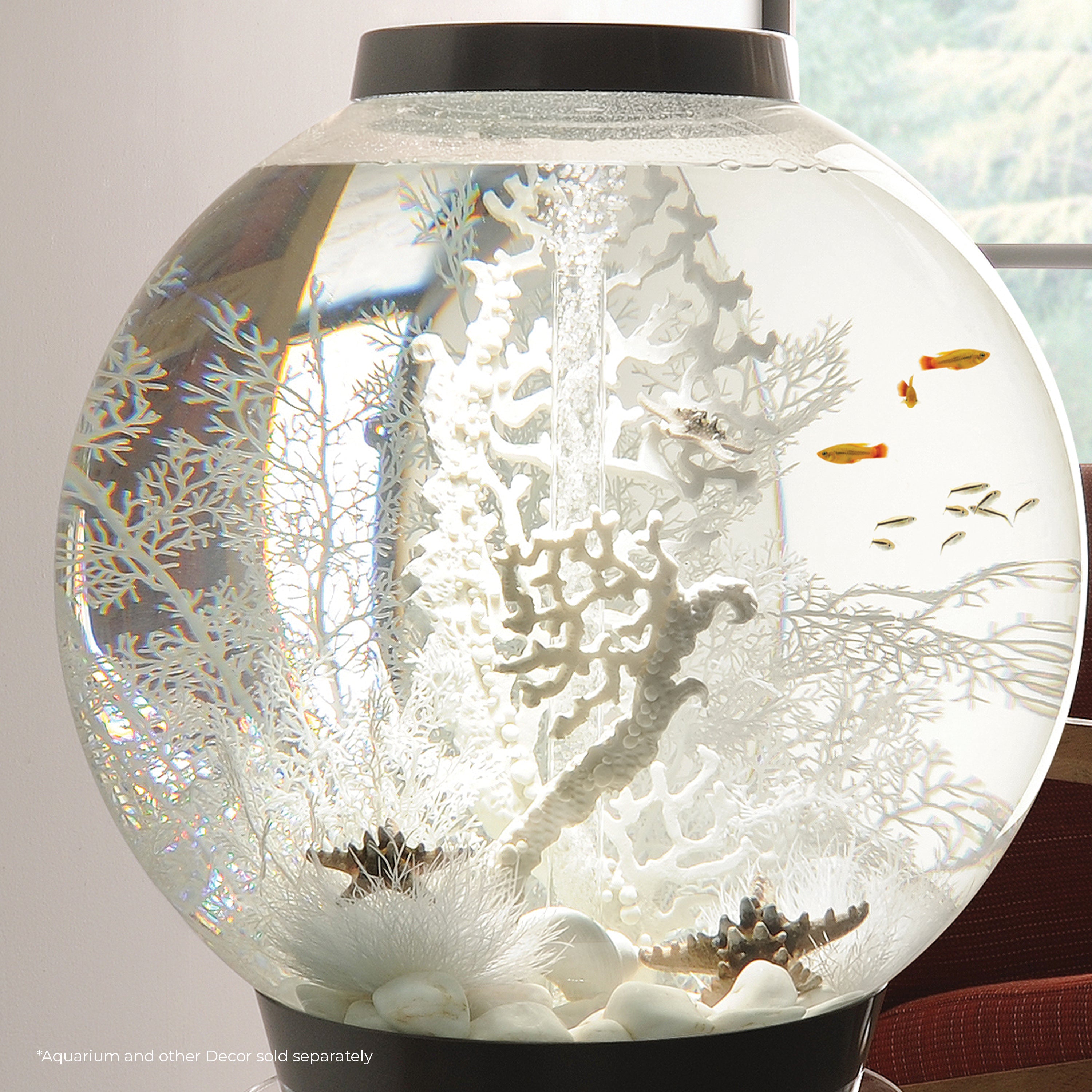 Extra Large Sea Fan - White In use