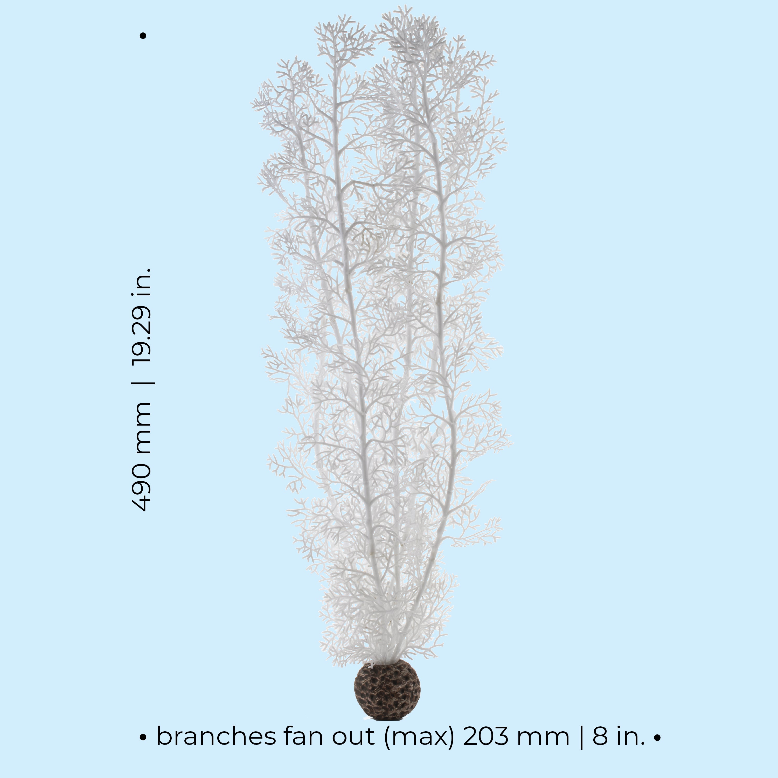 Extra Large Sea Fan - Dimensions