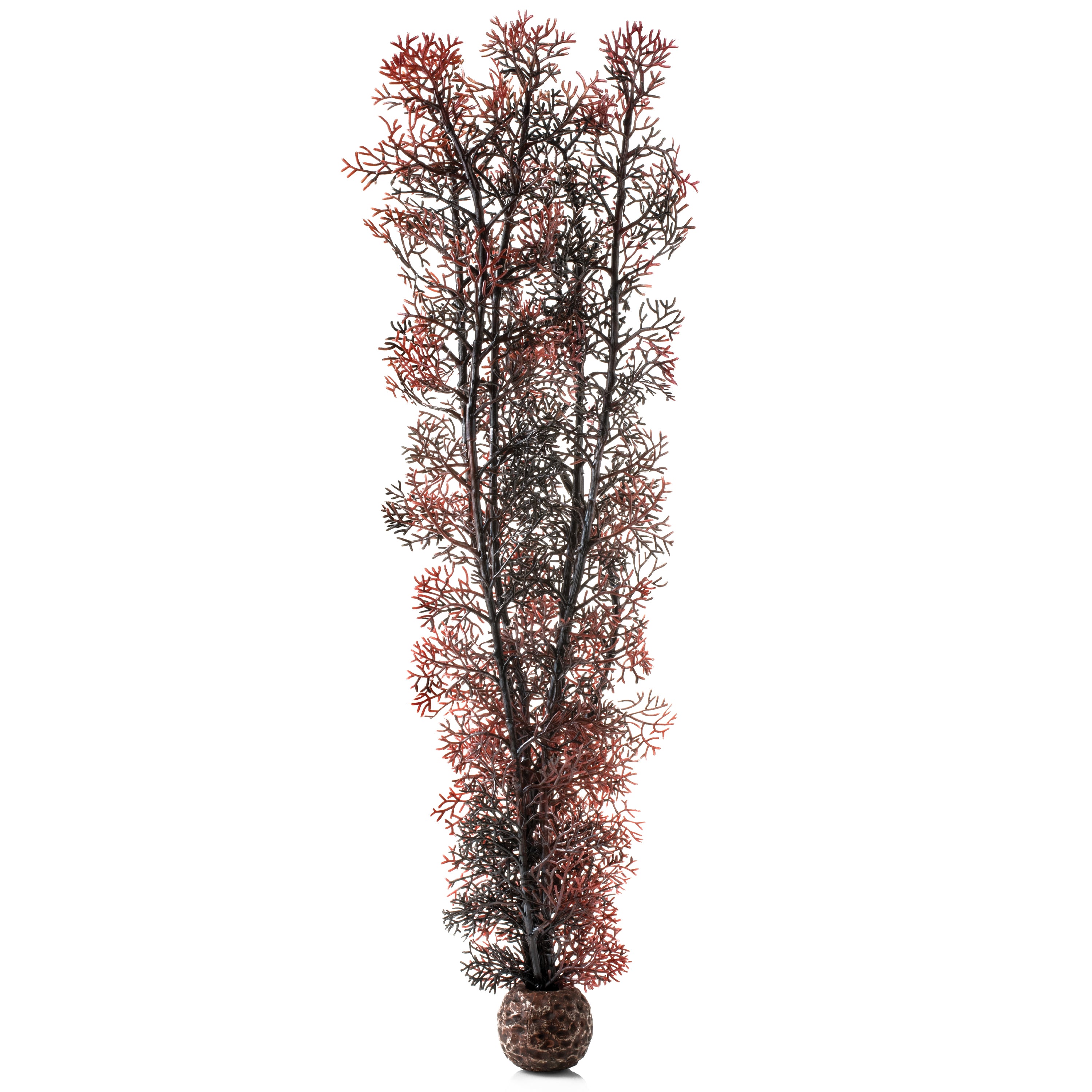 Extra Large Sea Fan - Crimson