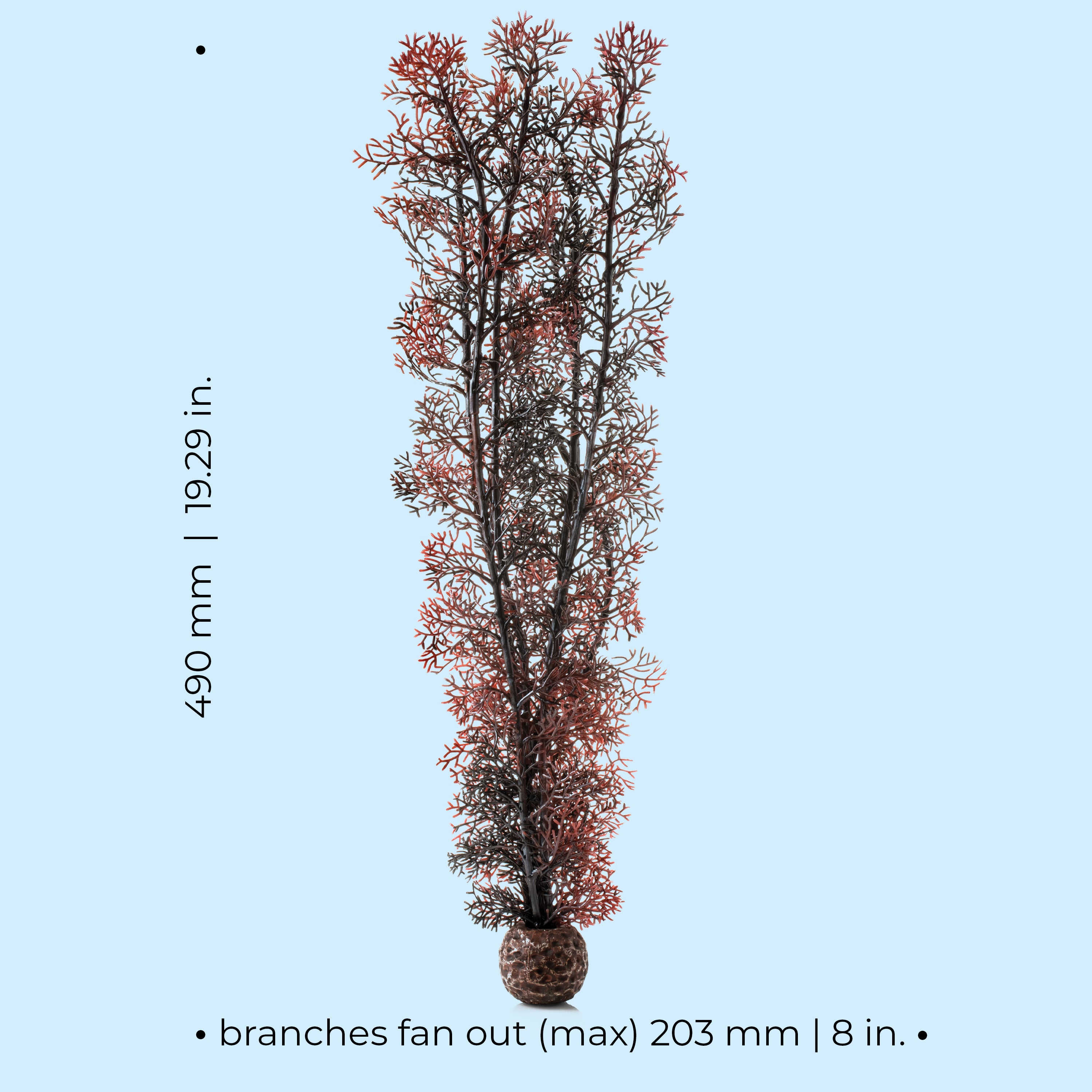 Extra Large Sea Fan - Dimensions