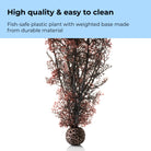 Extra Large Sea Fan - High quality & easy to clean