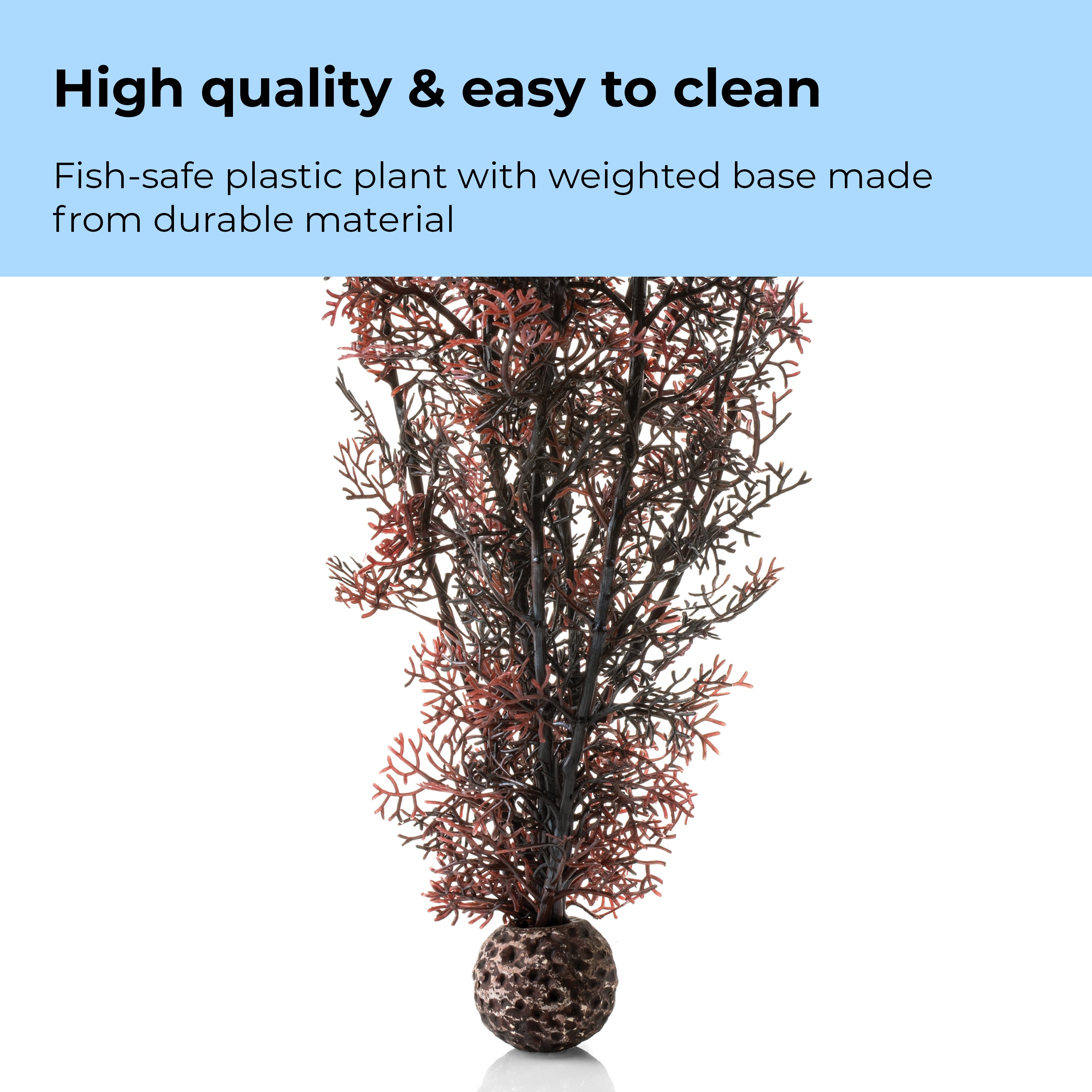 Extra Large Sea Fan - High quality & easy to clean