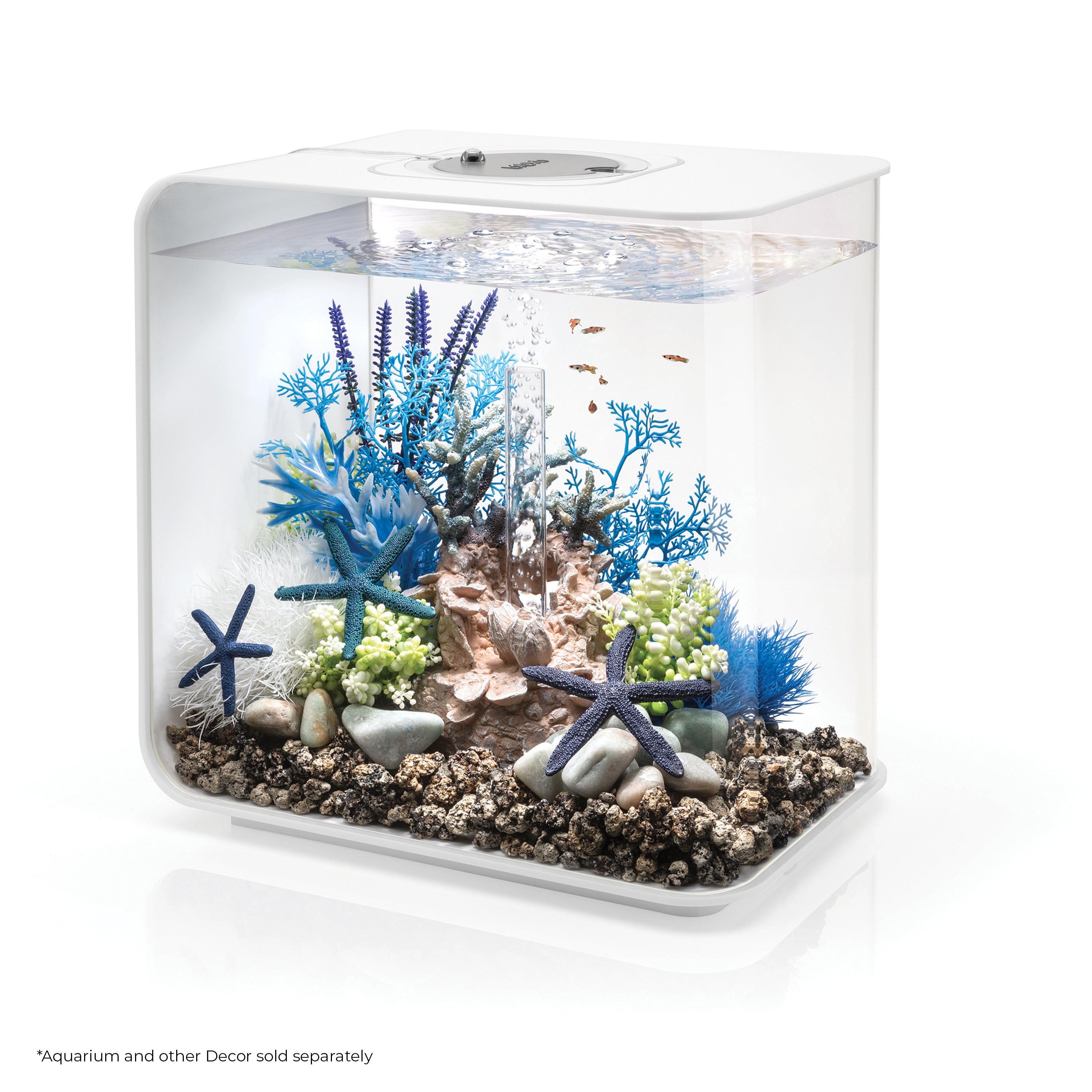Sea Lily - Blue In use