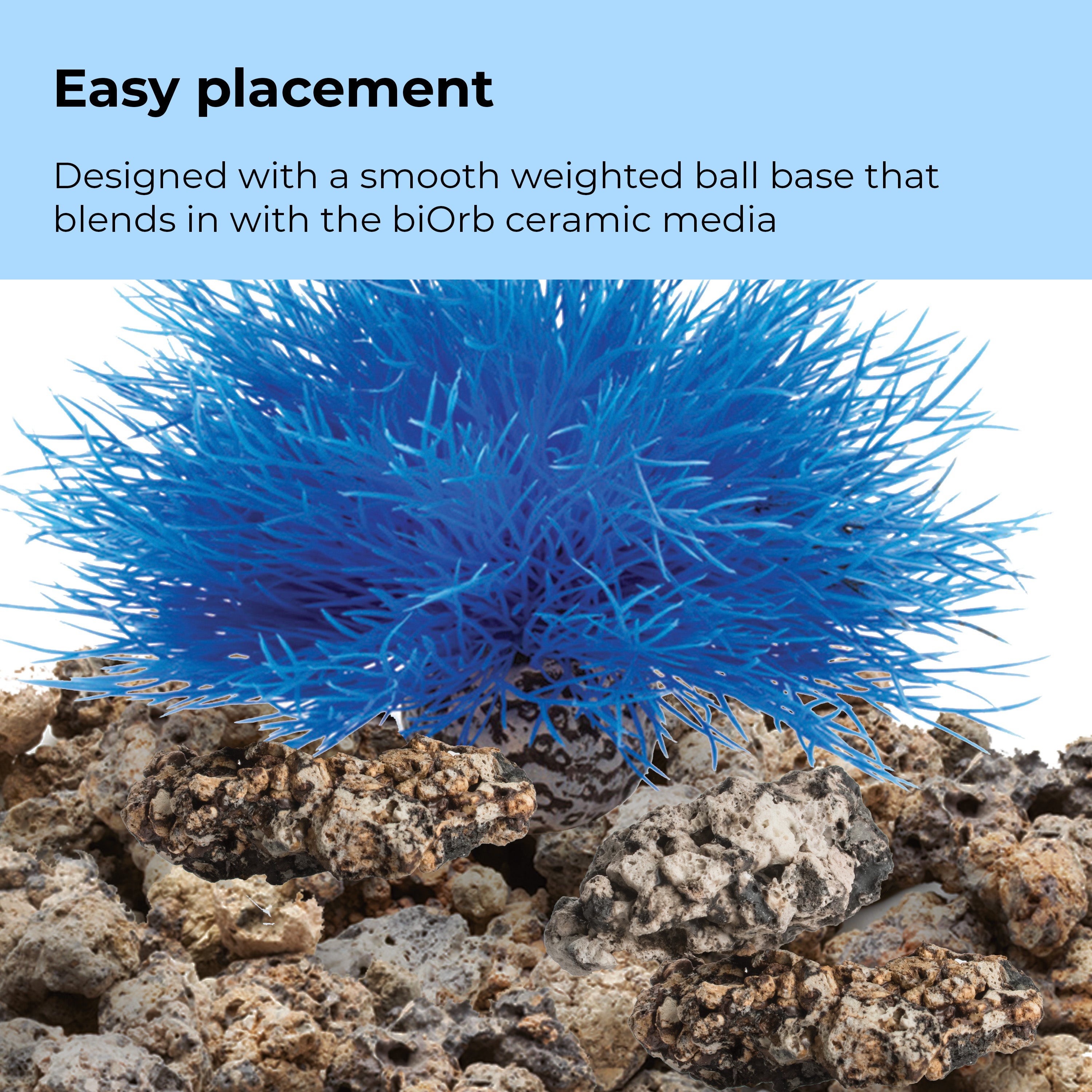 Sea Lily - Easy placement