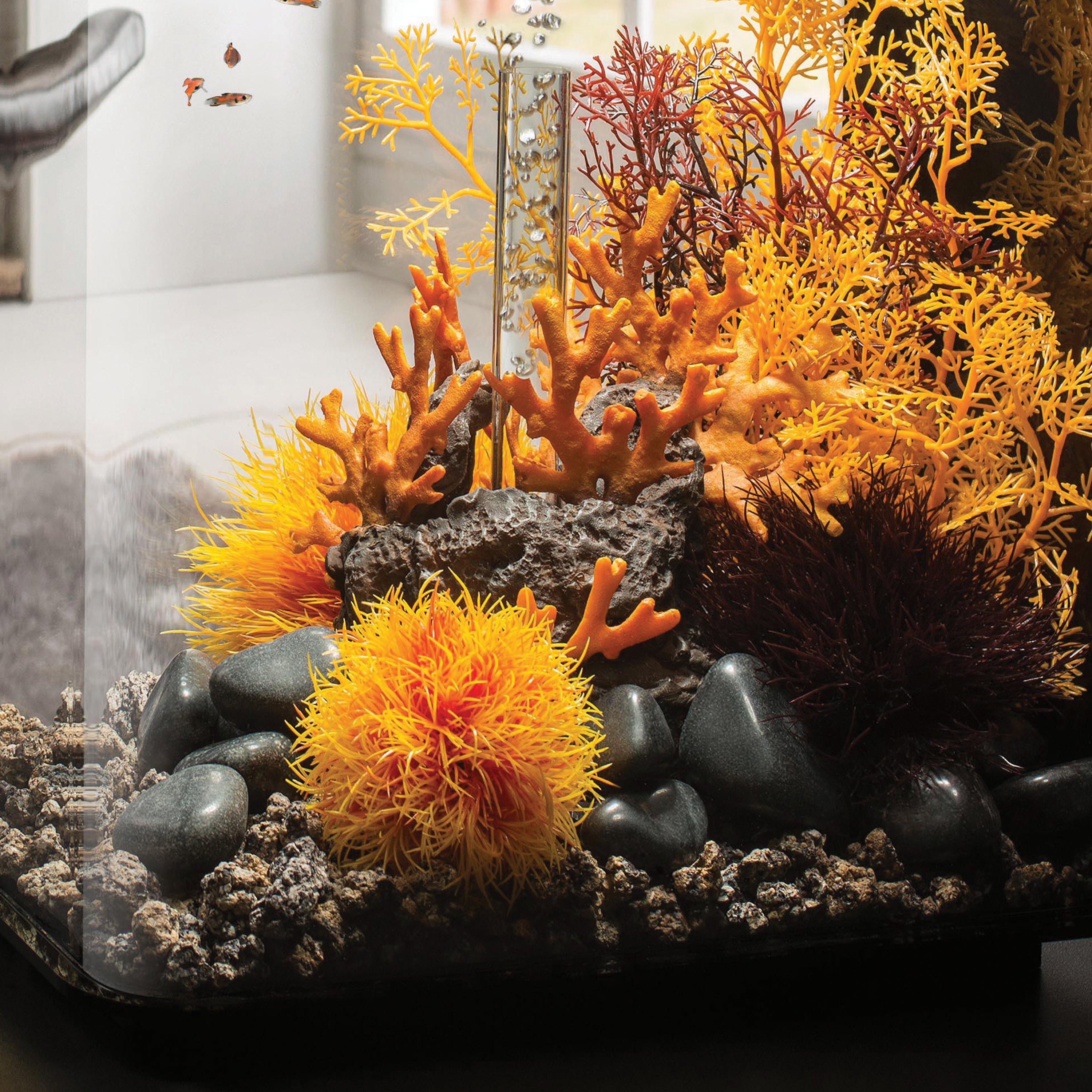 Sea Lily - Crimson In use