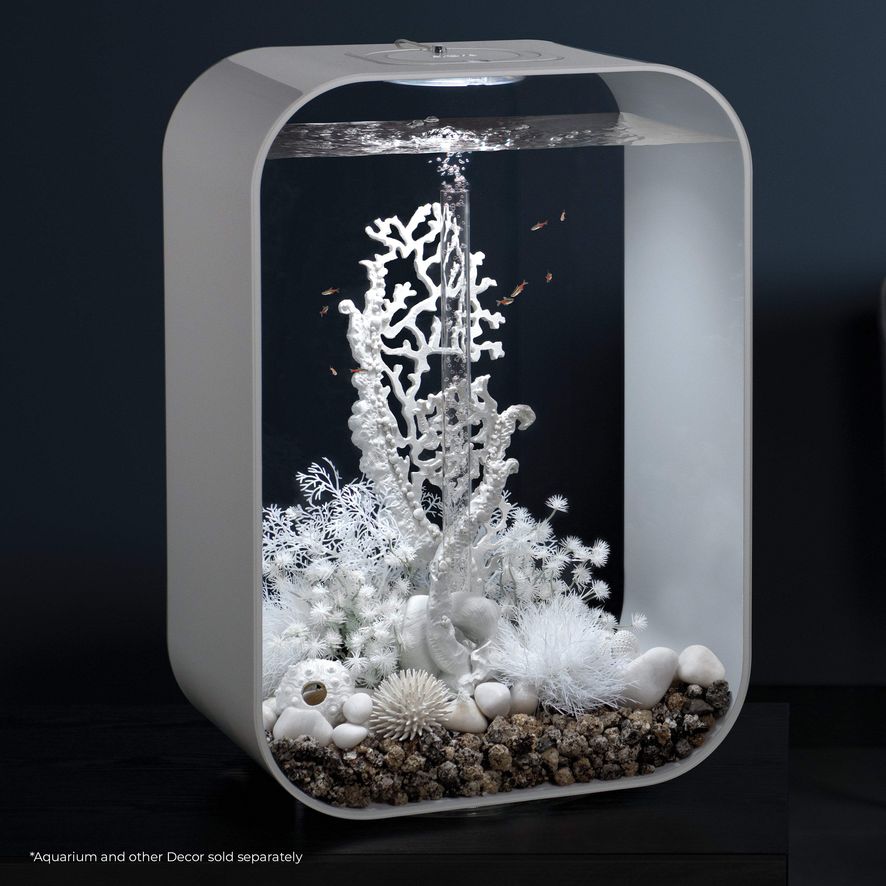 Sea Lily - White In use