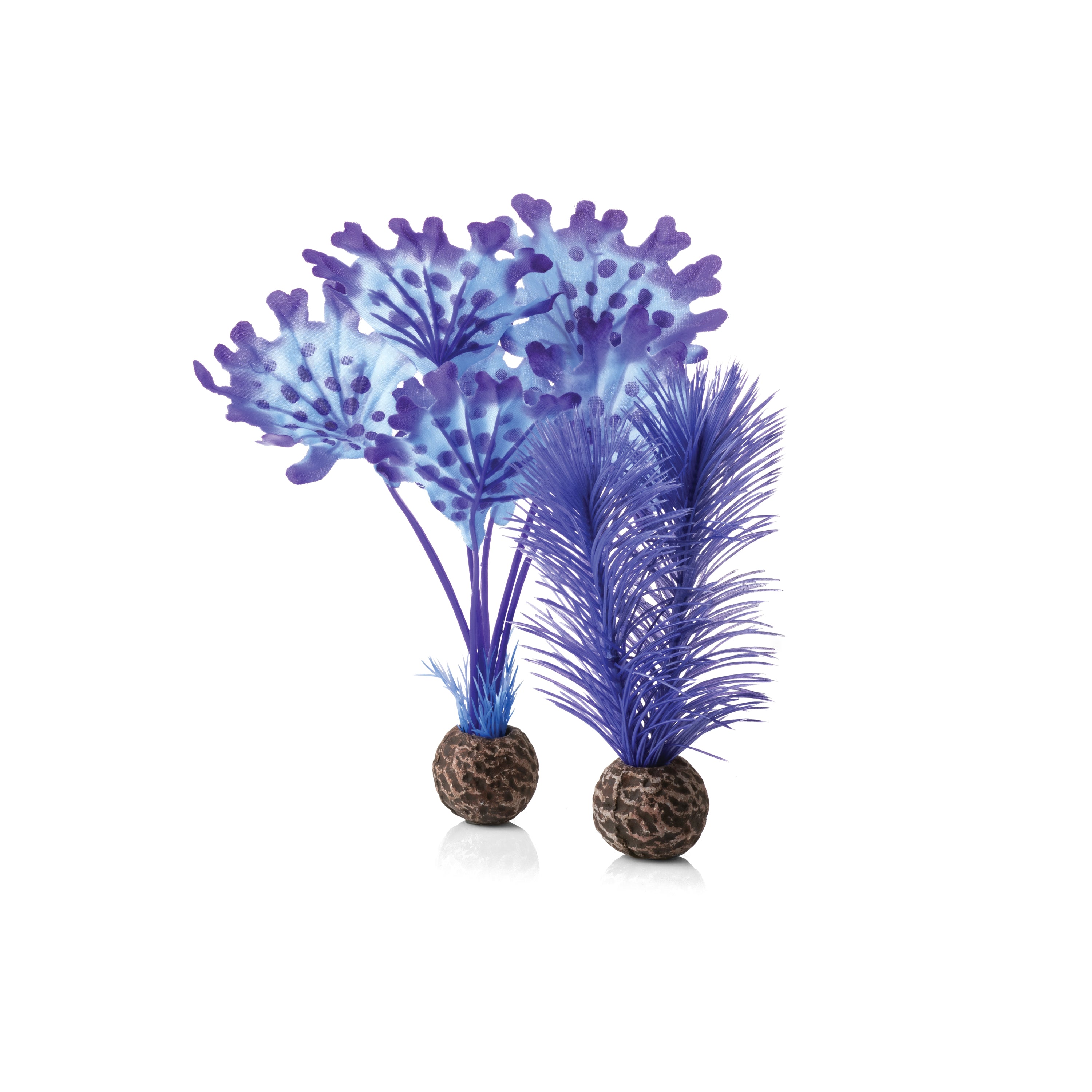 Small Kelp Plant Set - Purple