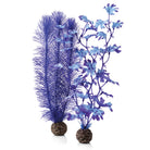 Medium Kelp Plant Set - Purple