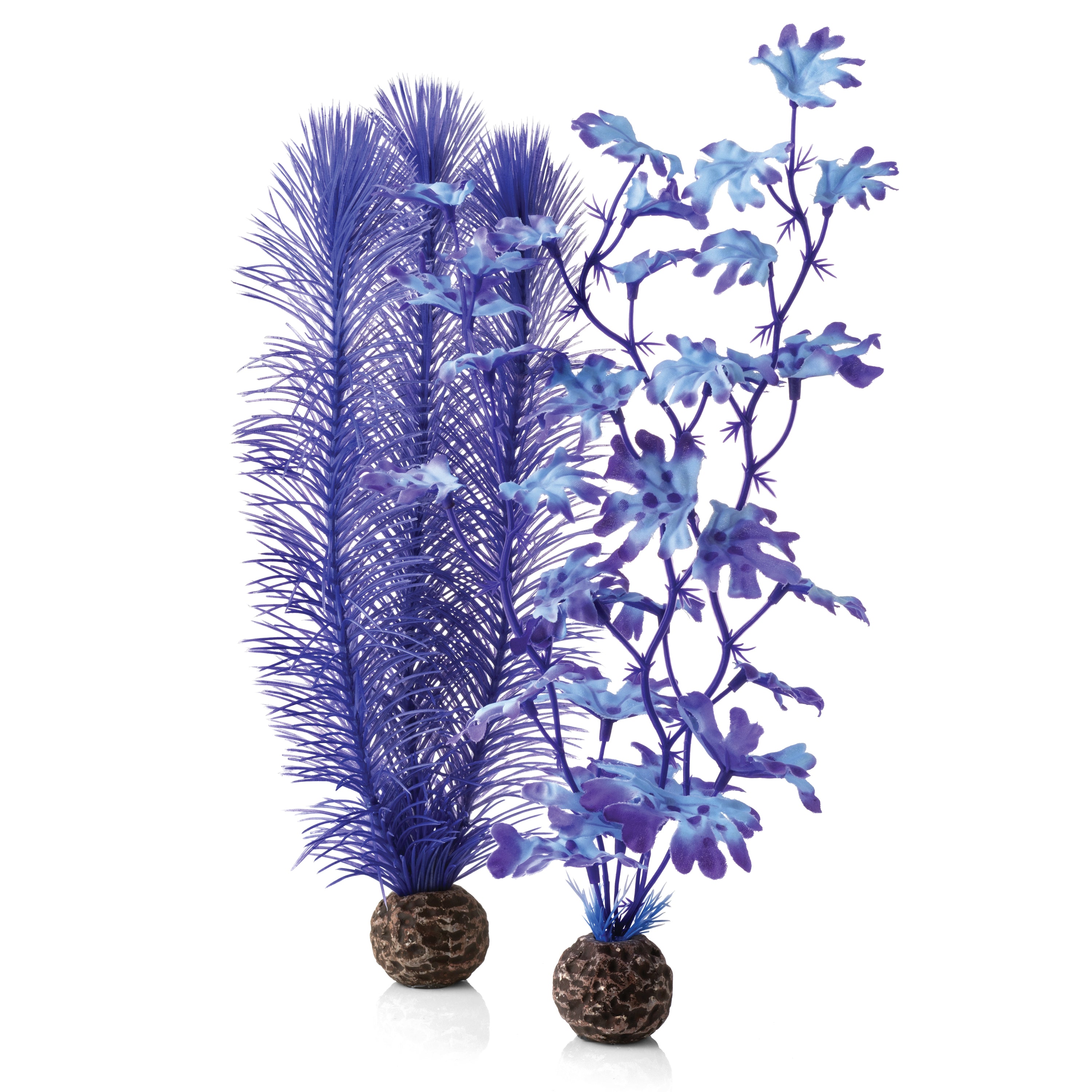 Medium Kelp Plant Set - Purple