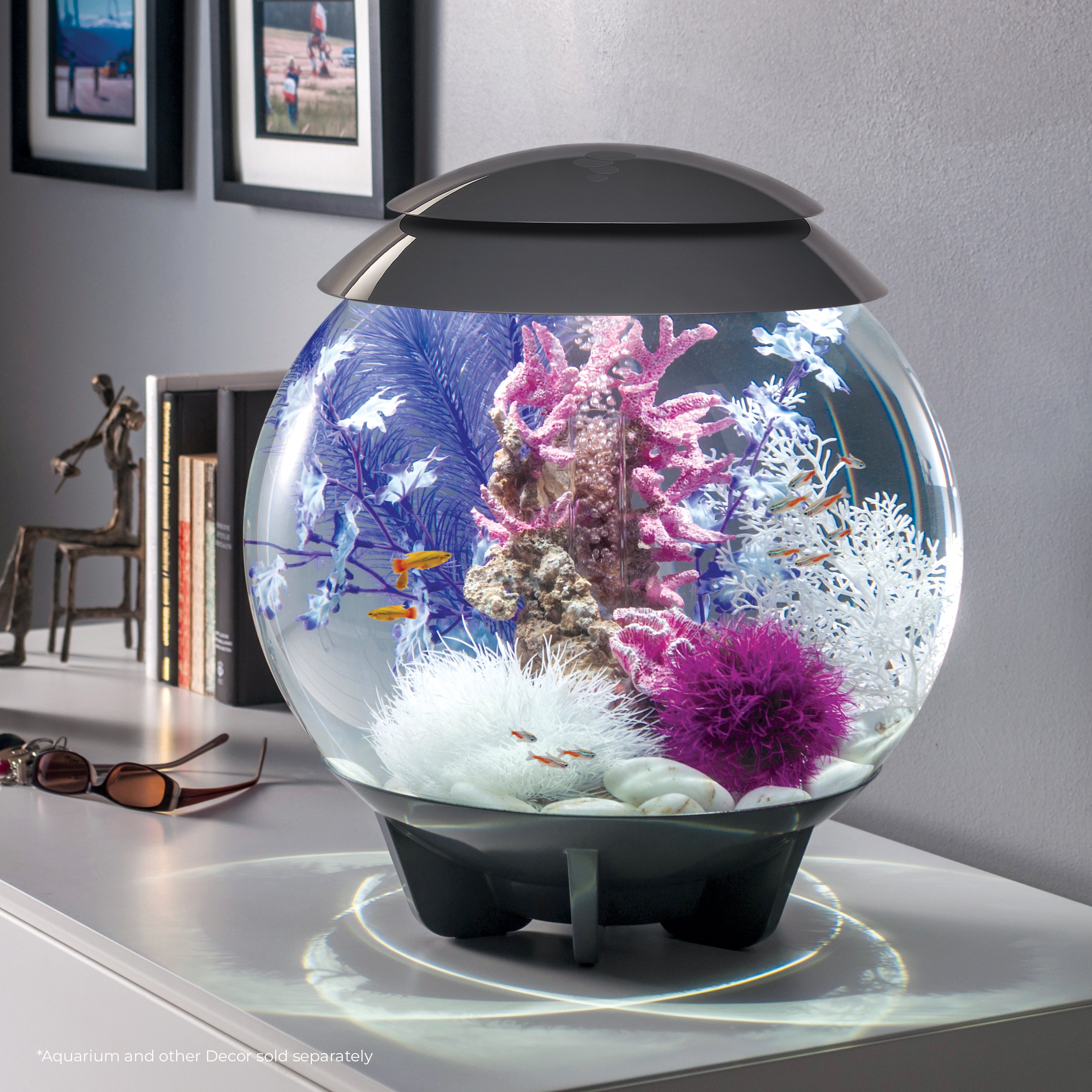 Medium Kelp Plant Set - Purple In use