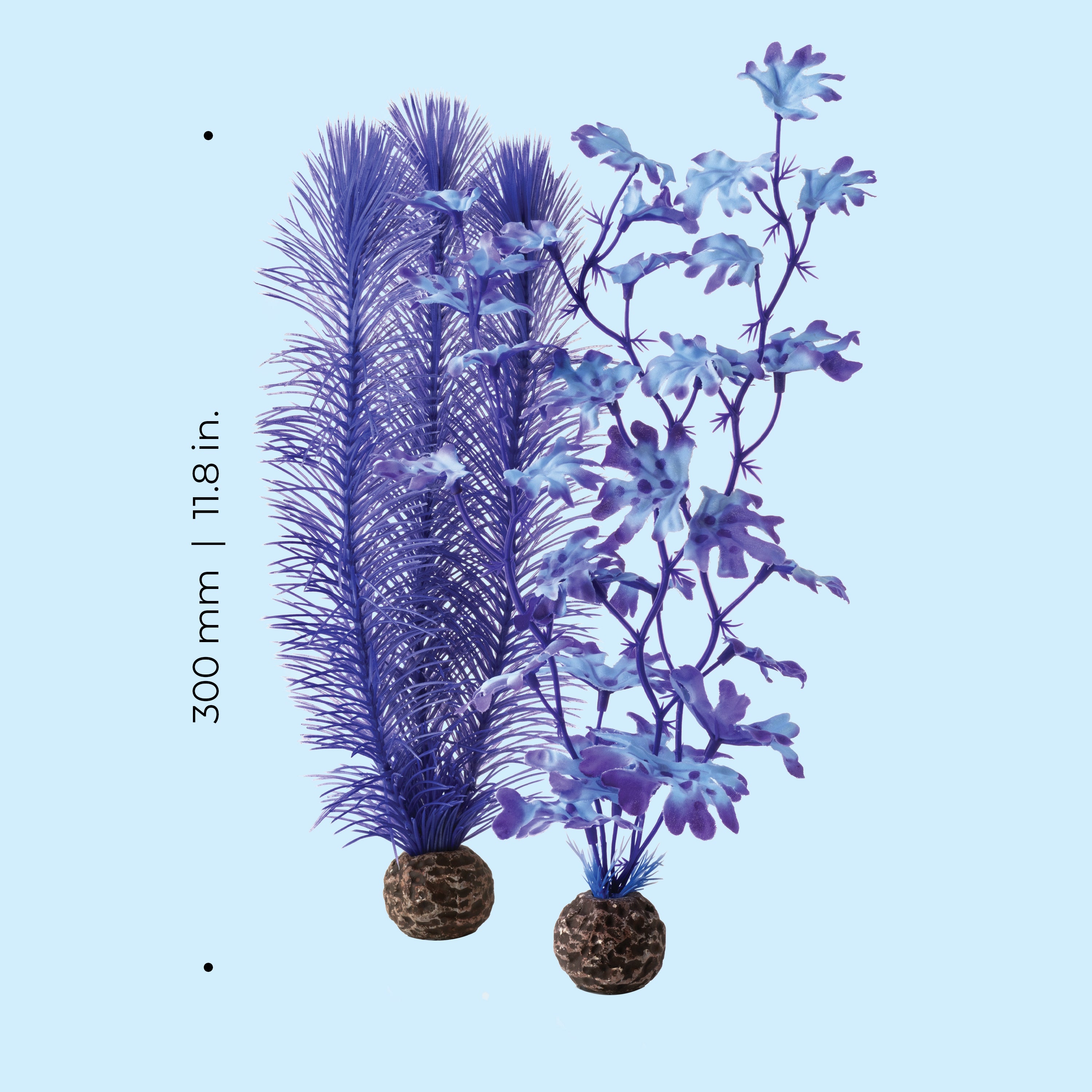 Medium Kelp Plant Set - Dimensions
